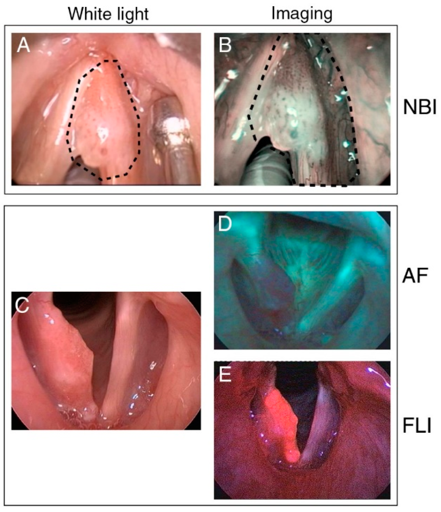 Cancers 13 01895 g002 Cancers 13 01895 g002