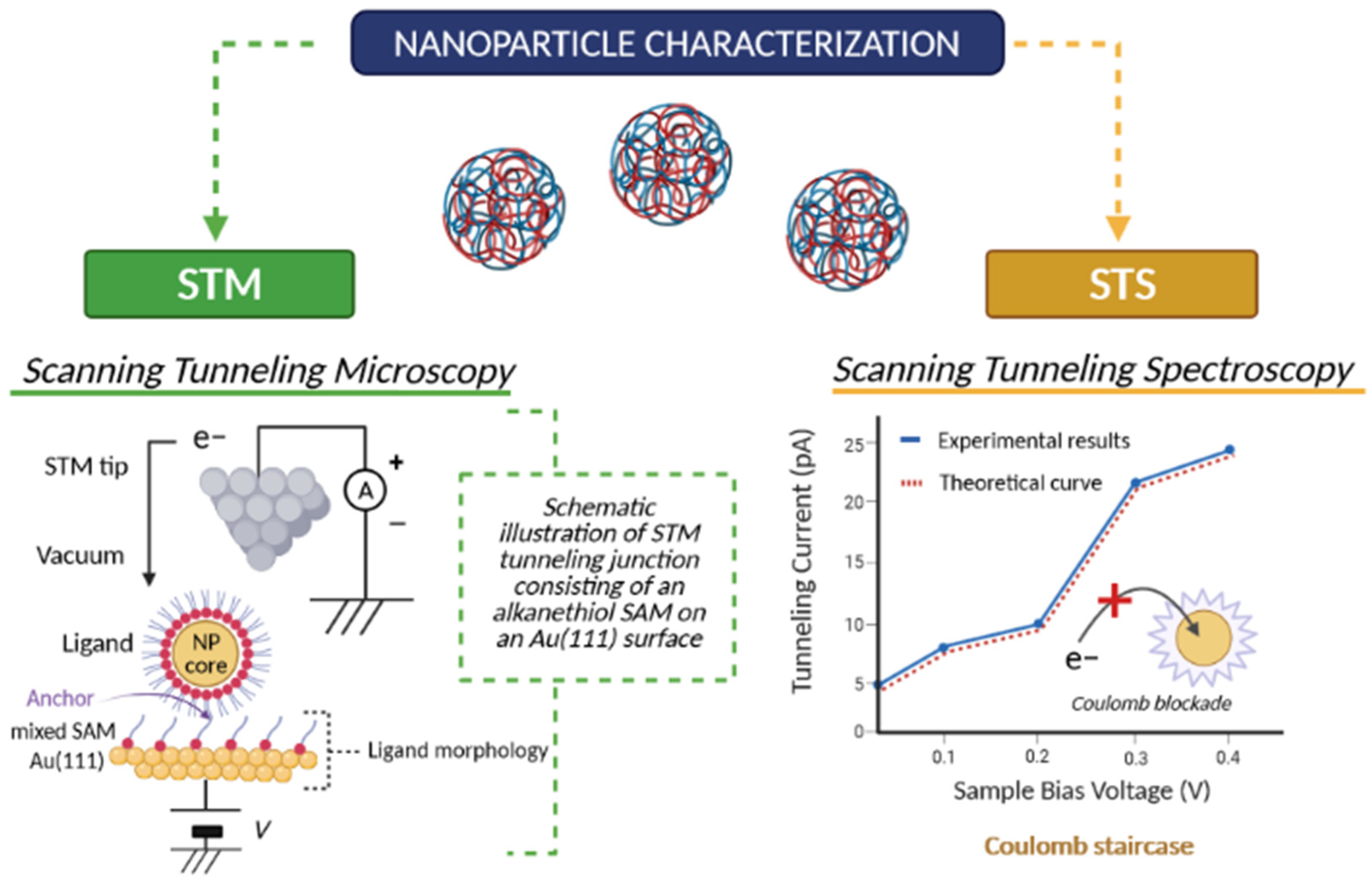 Cancers 13 01896 g002 Cancers 13 01896 g002