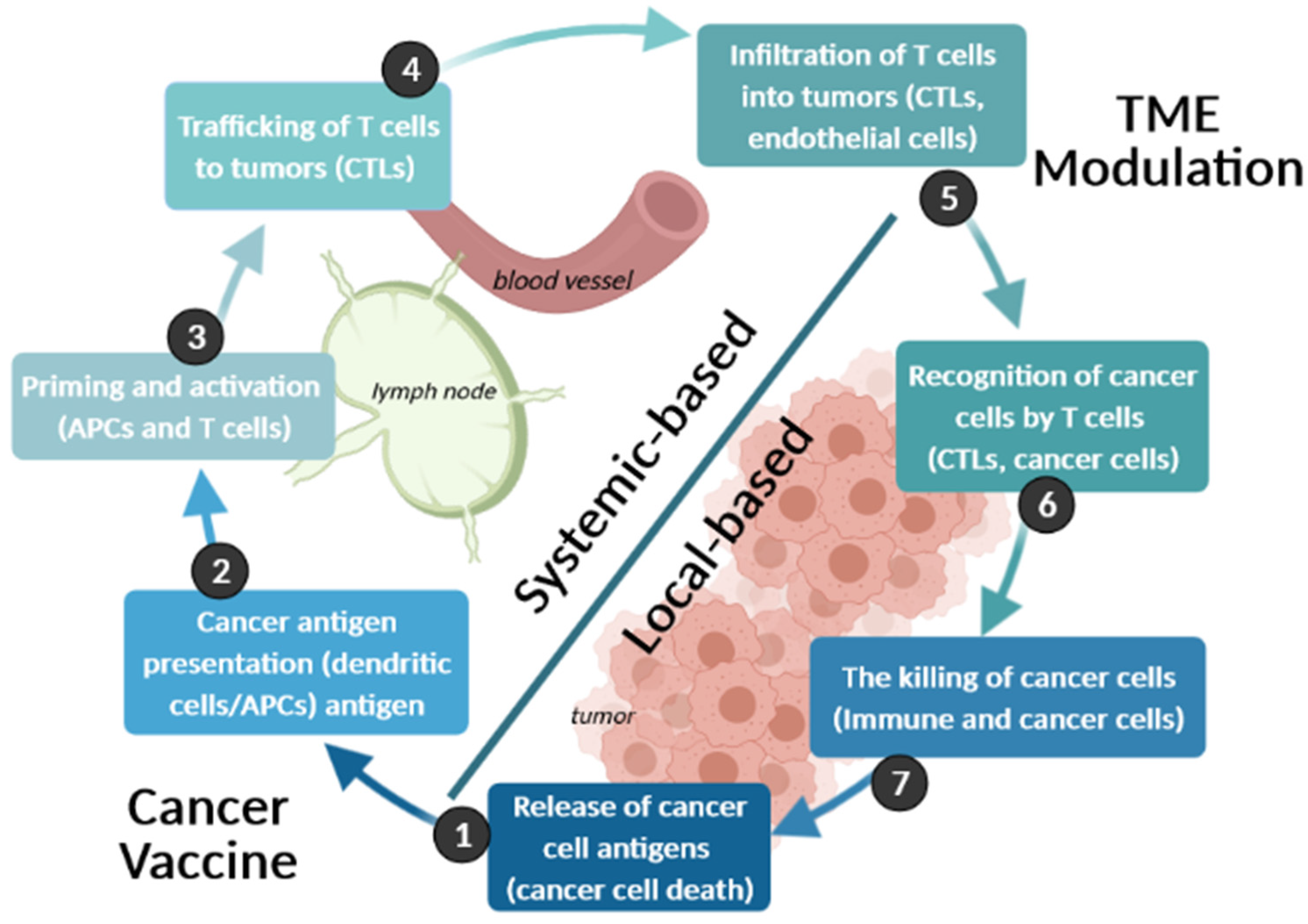 Cancers 13 01896 g005 Cancers 13 01896 g005