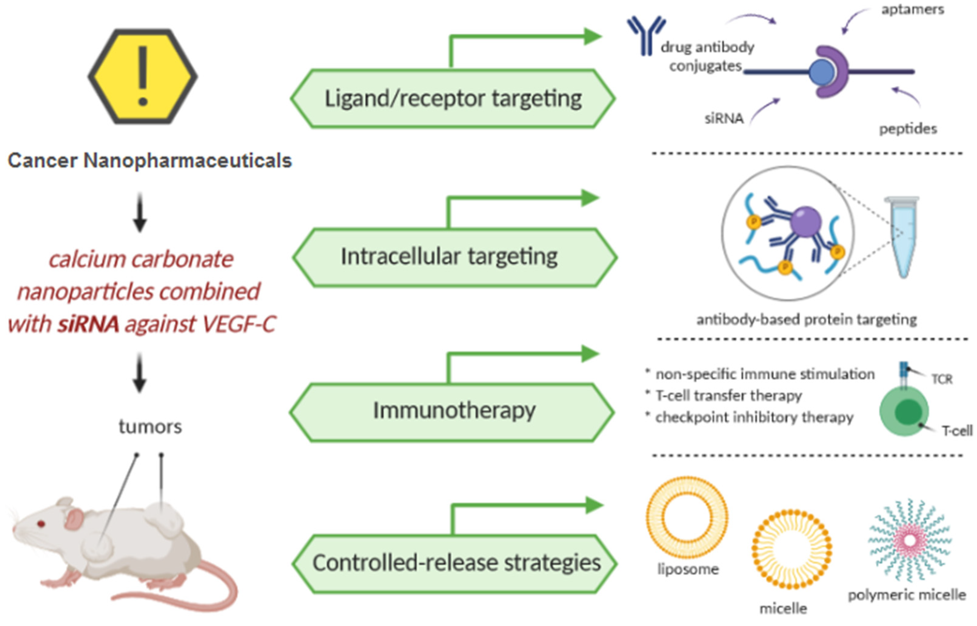 Cancers 13 01896 g006 Cancers 13 01896 g006