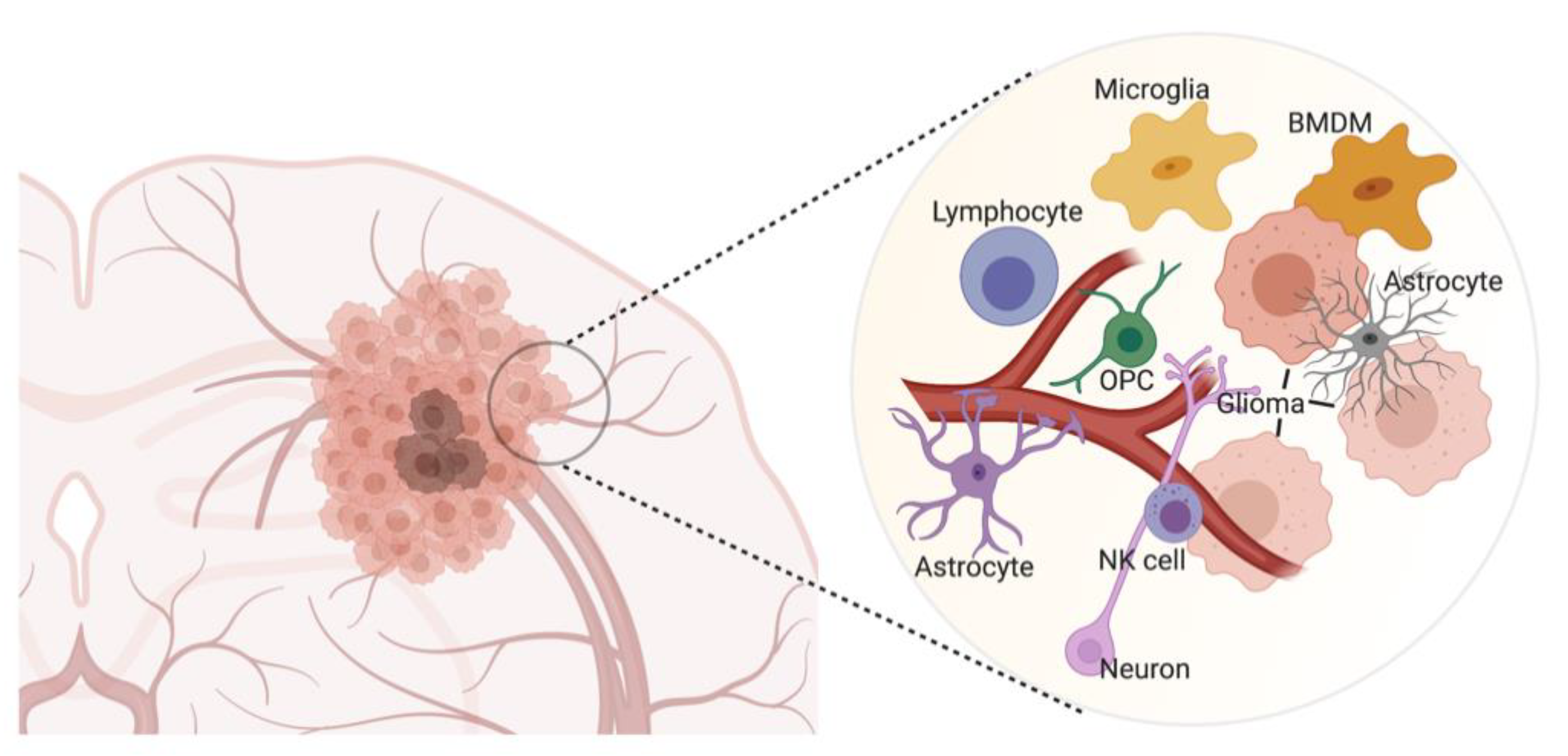 Cancers 13 01897 g001 Cancers 13 01897 g001