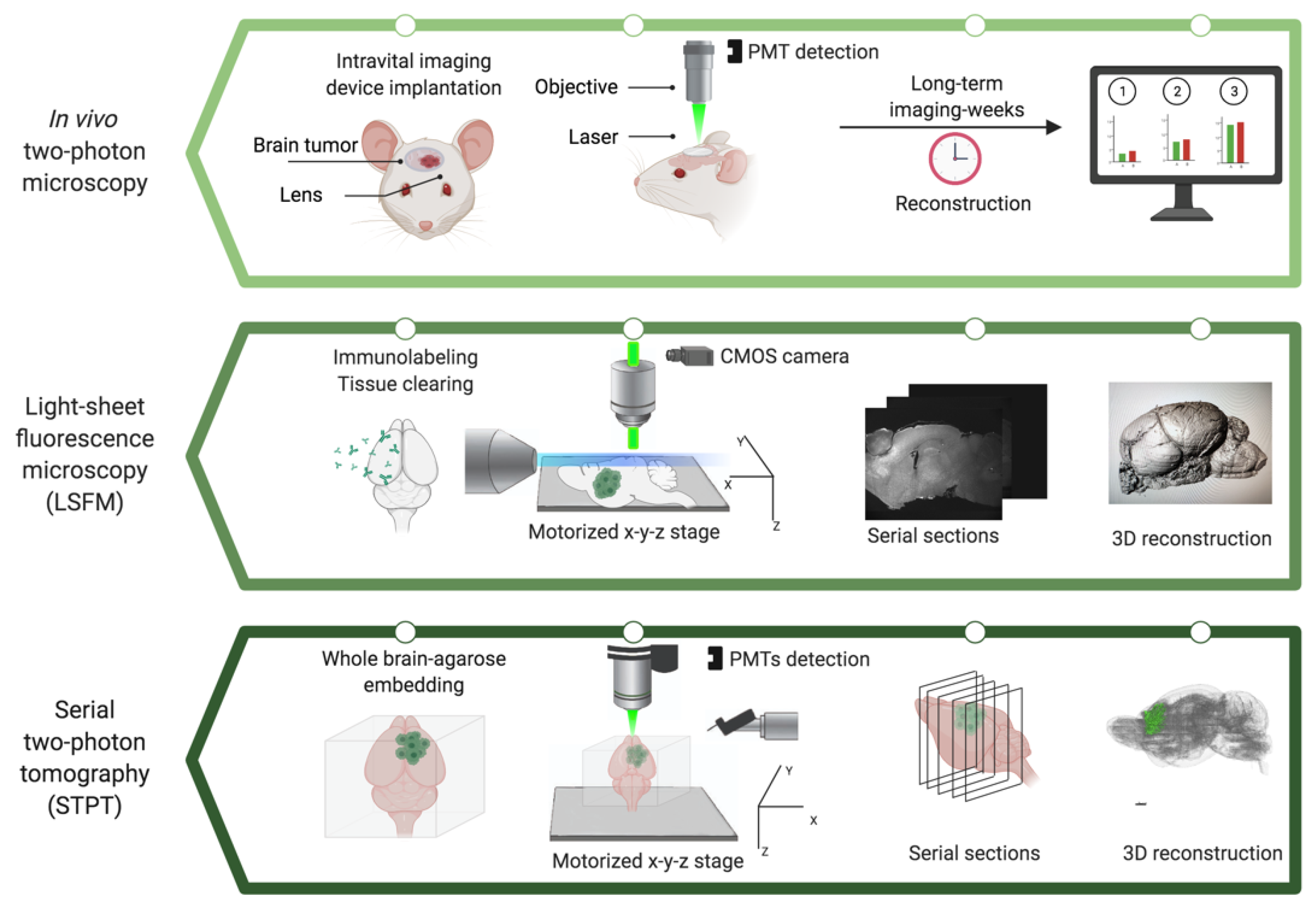 Cancers 13 01897 g002 Cancers 13 01897 g002
