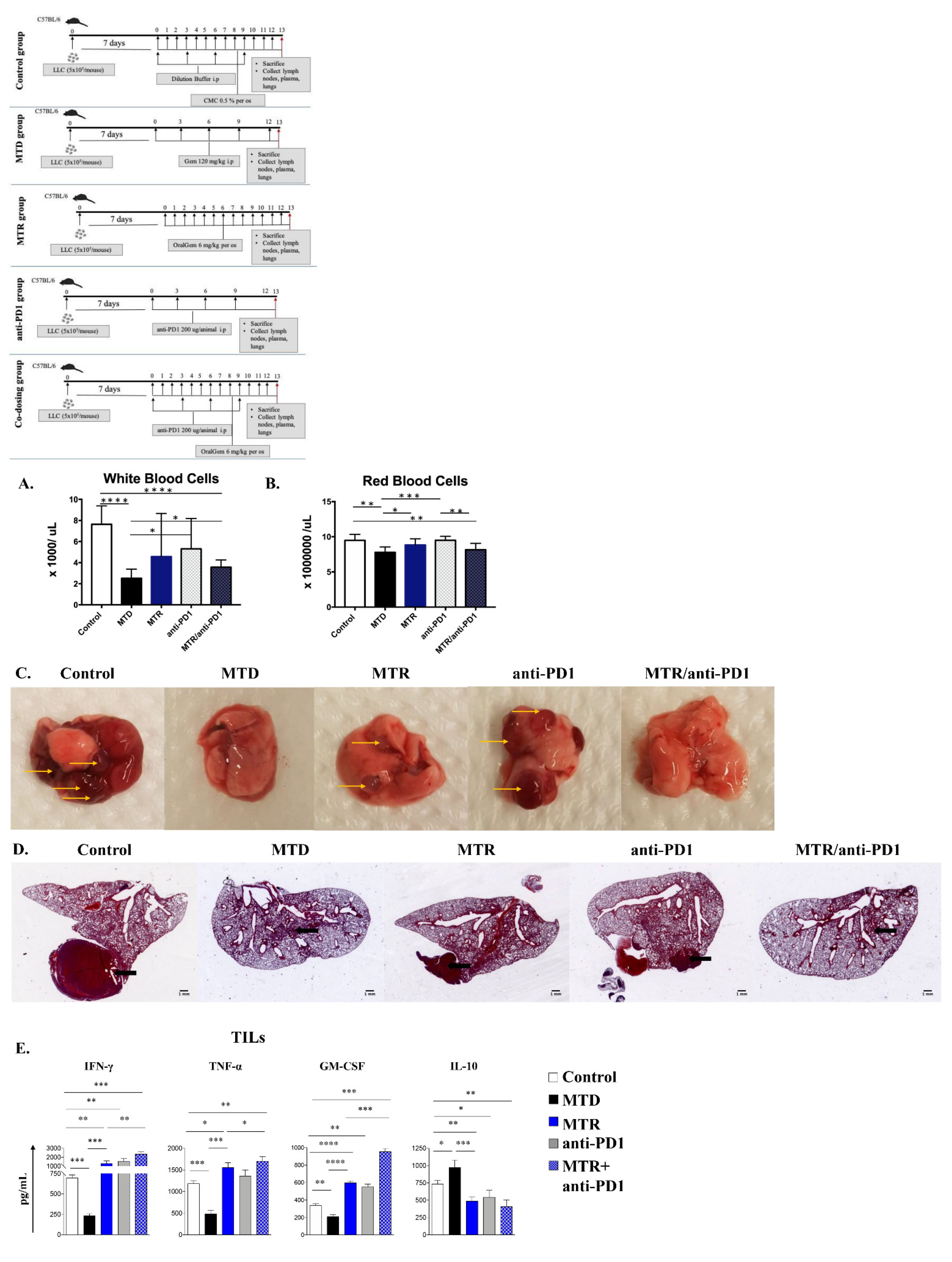 Cancers 13 01901 g007