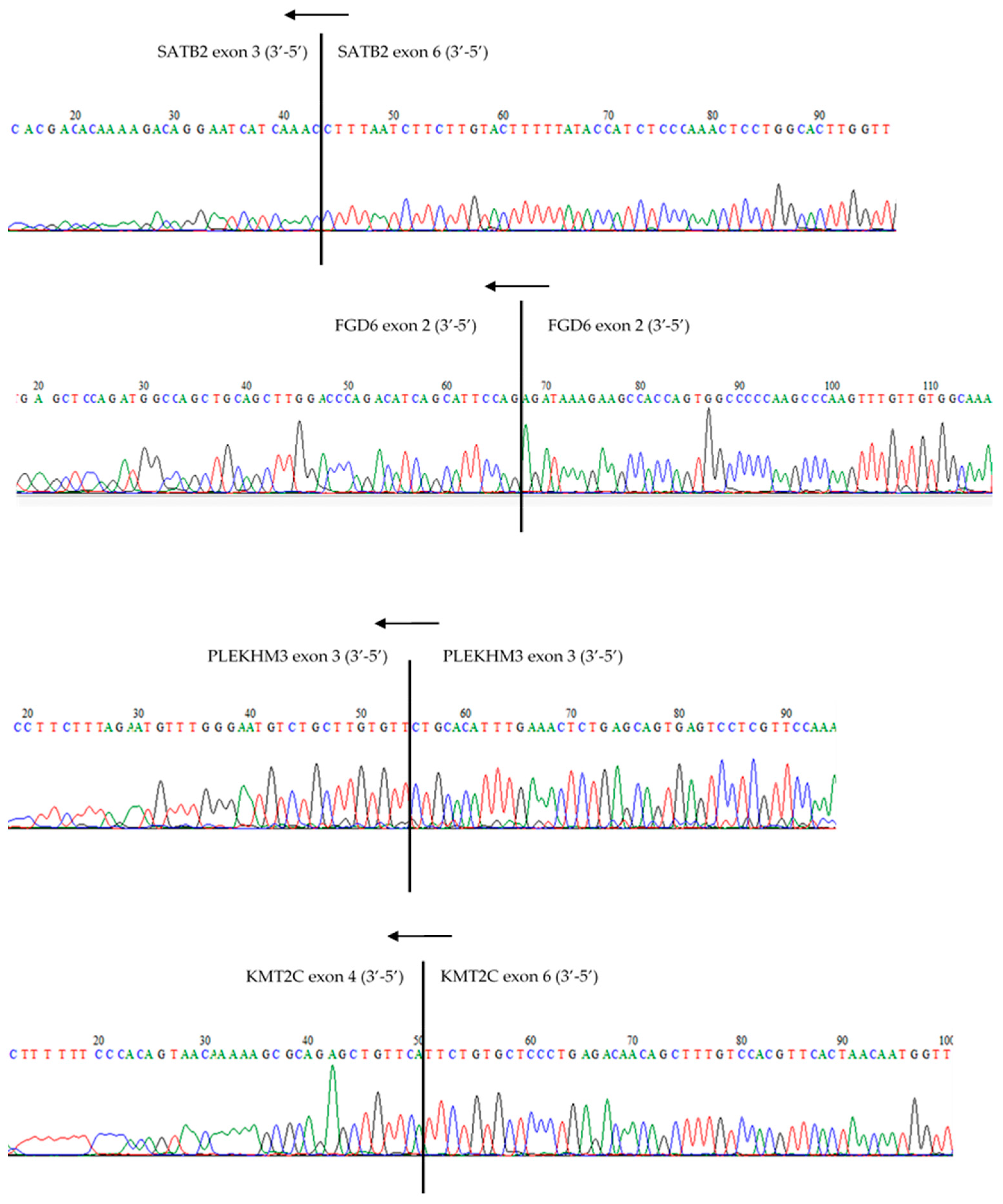 Cancers 13 01903 g003