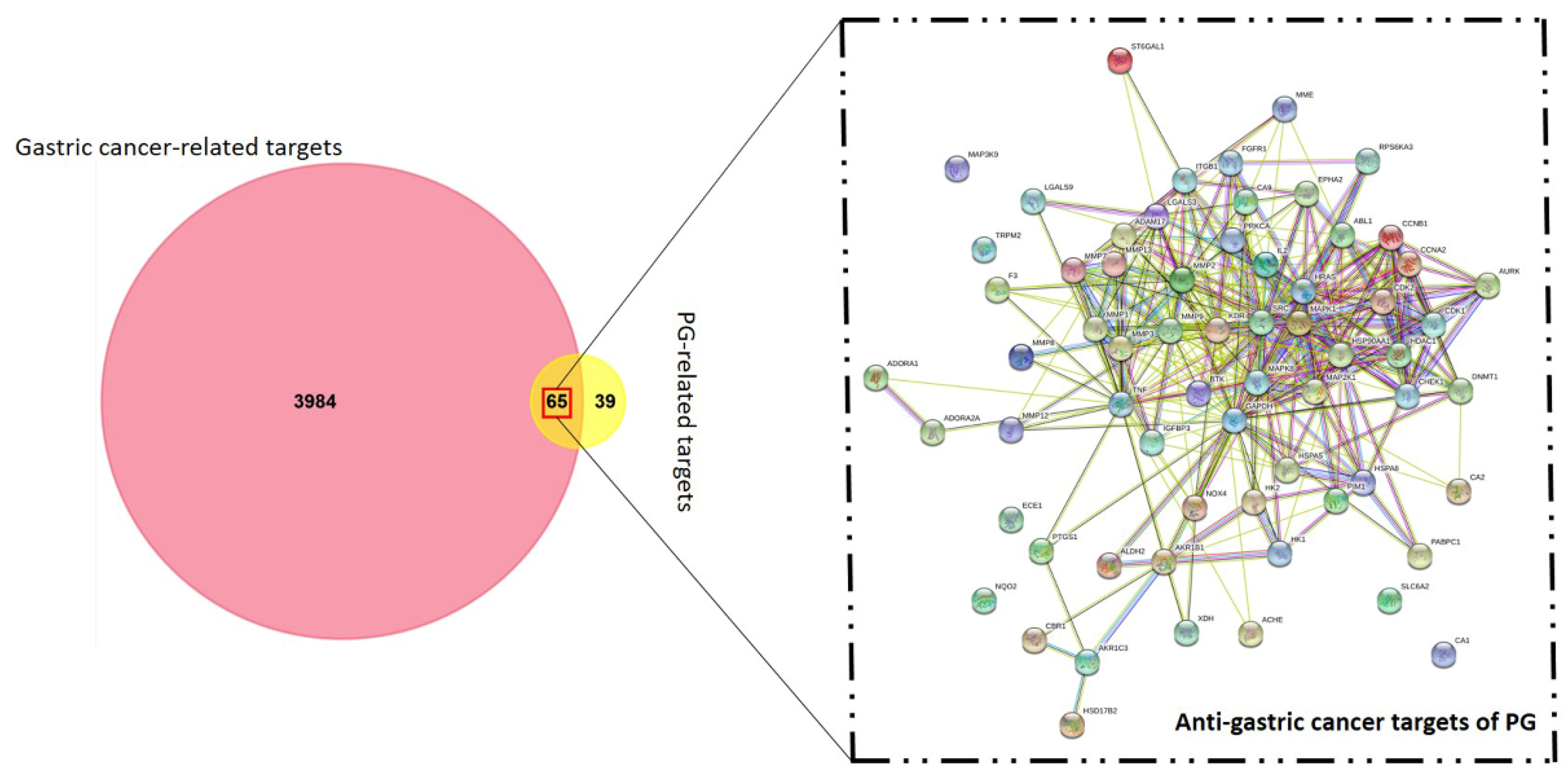Cancers 13 01918 g002 Cancers 13 01918 g002