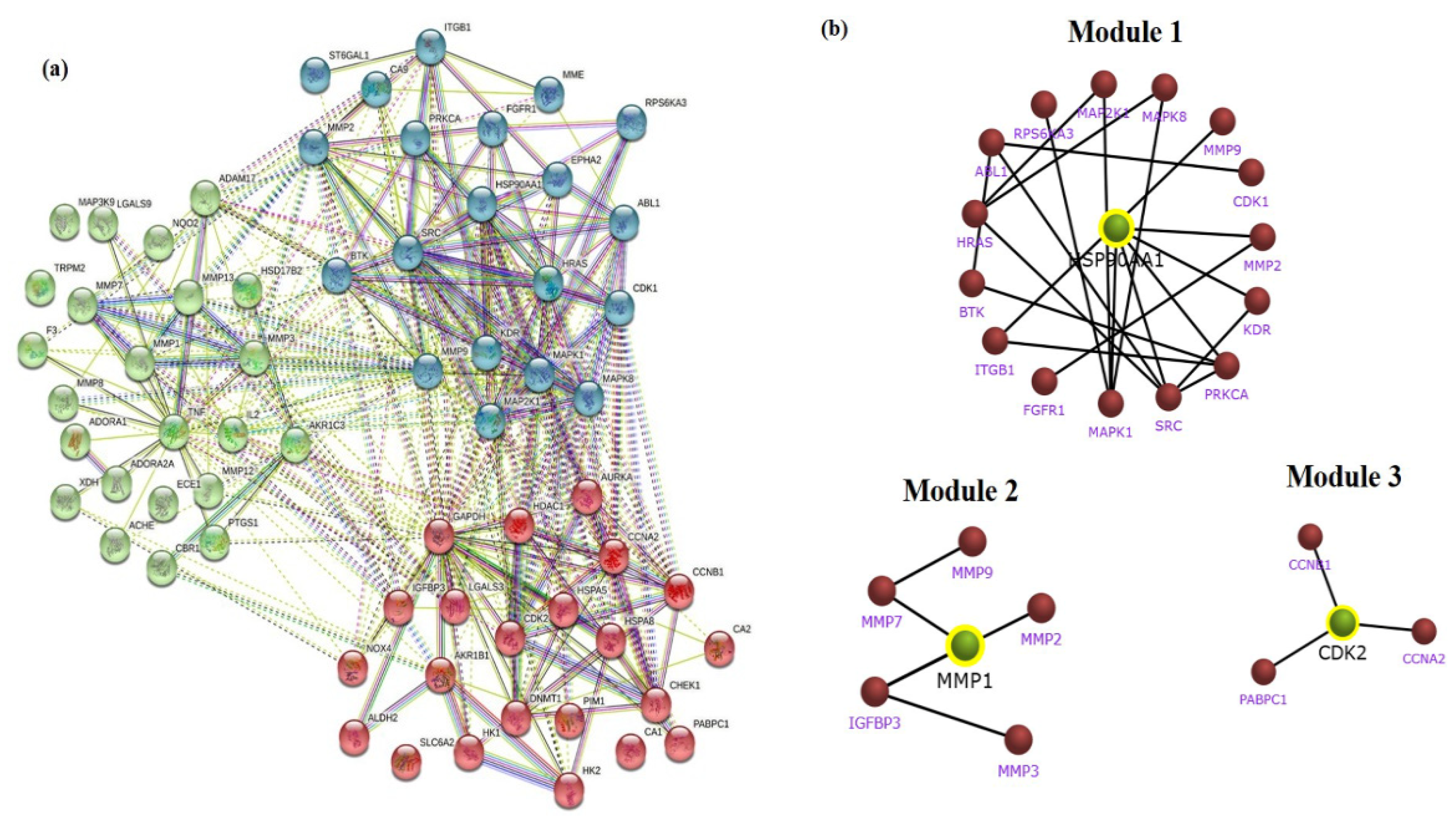 Cancers 13 01918 g005 Cancers 13 01918 g005