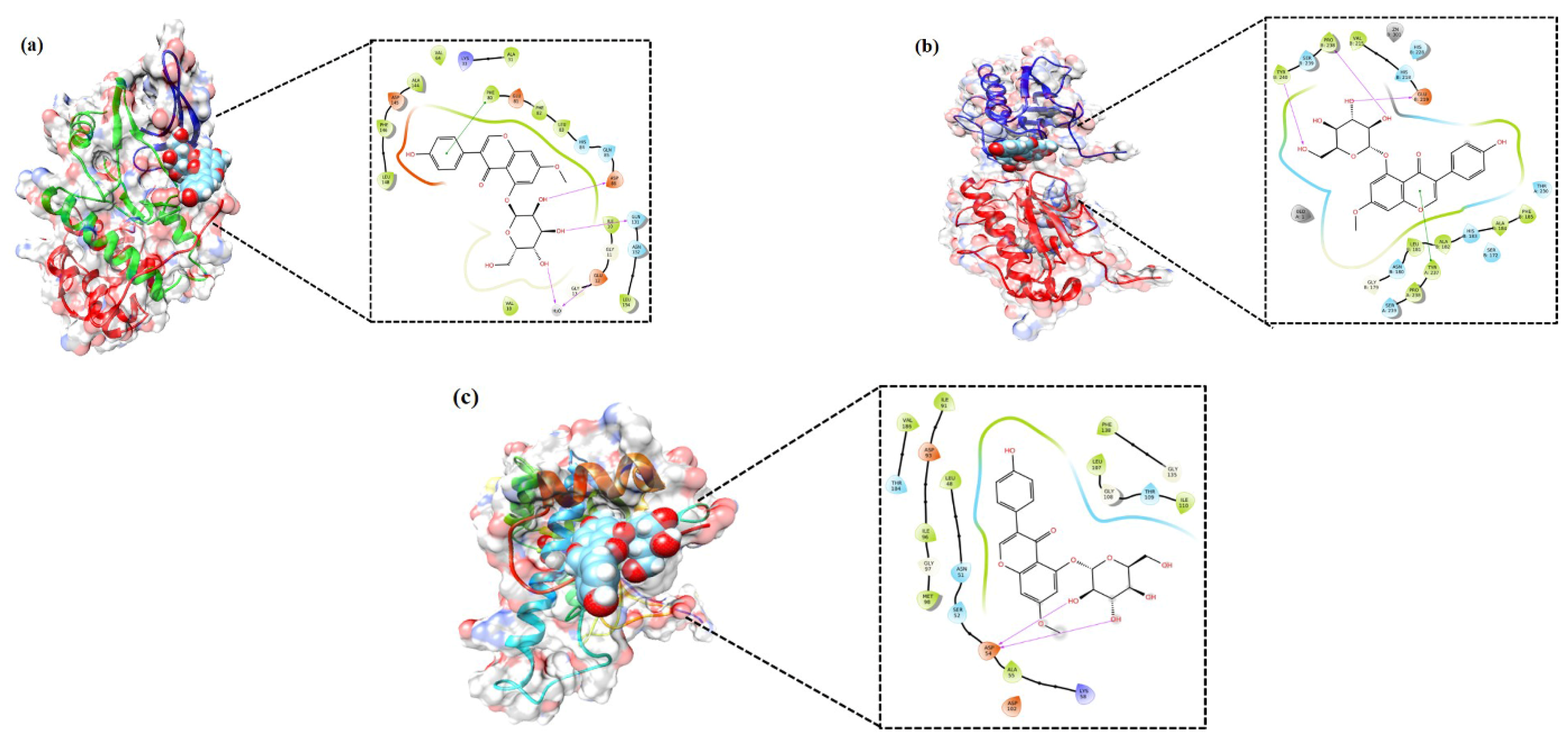 Cancers 13 01918 g006 Cancers 13 01918 g006