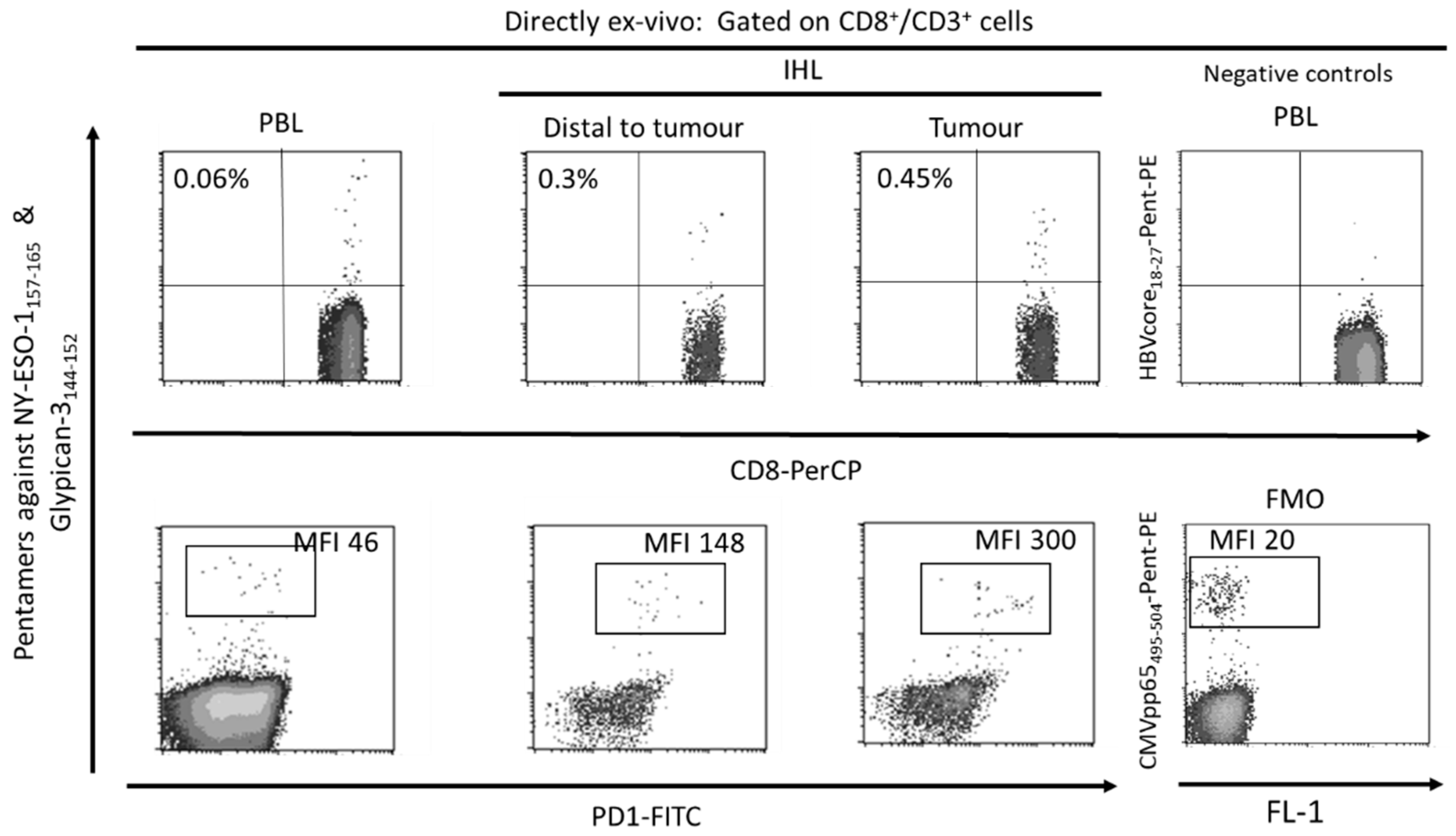 Cancers 13 01922 g002 Cancers 13 01922 g002