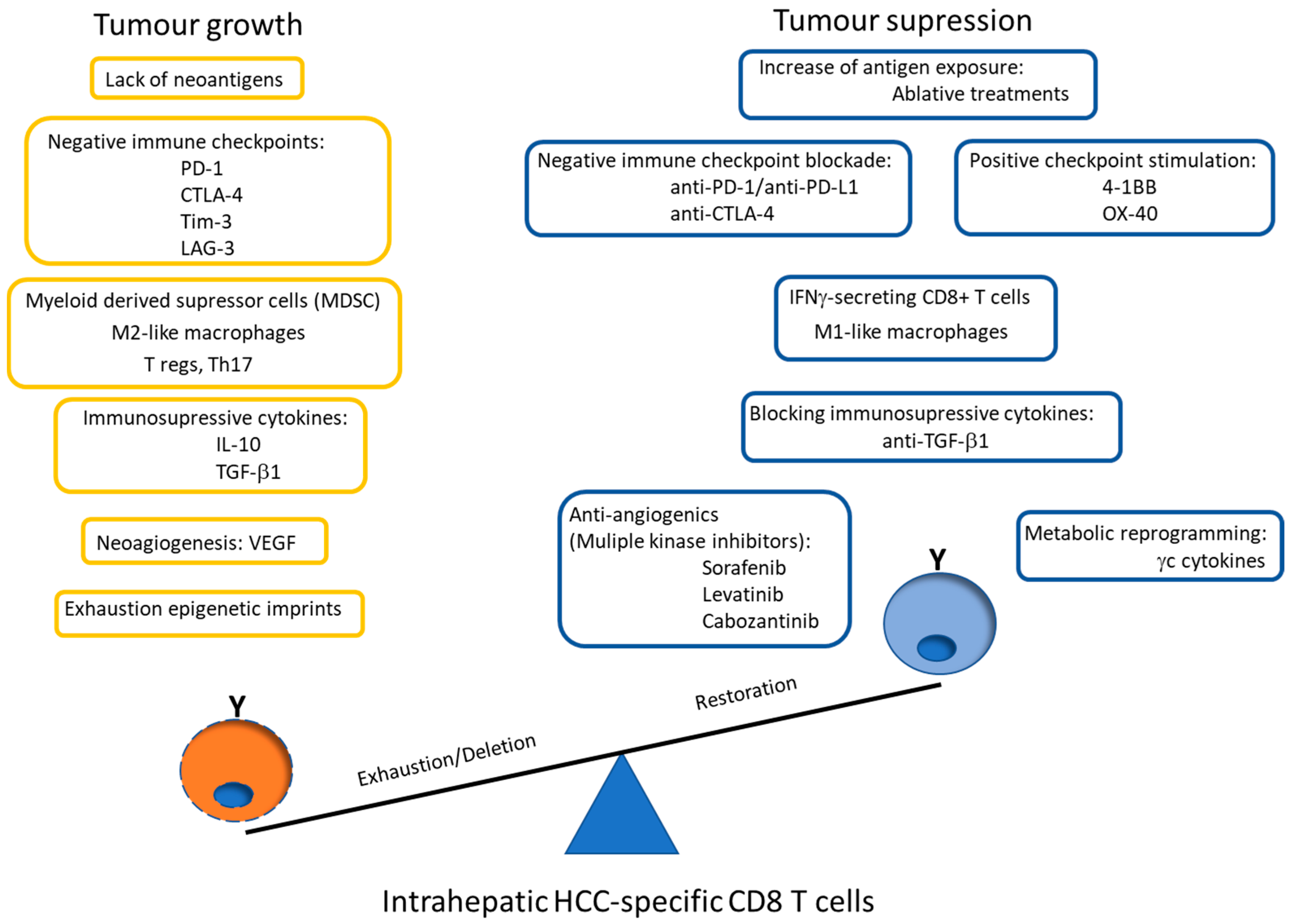 Cancers 13 01922 g003 Cancers 13 01922 g003