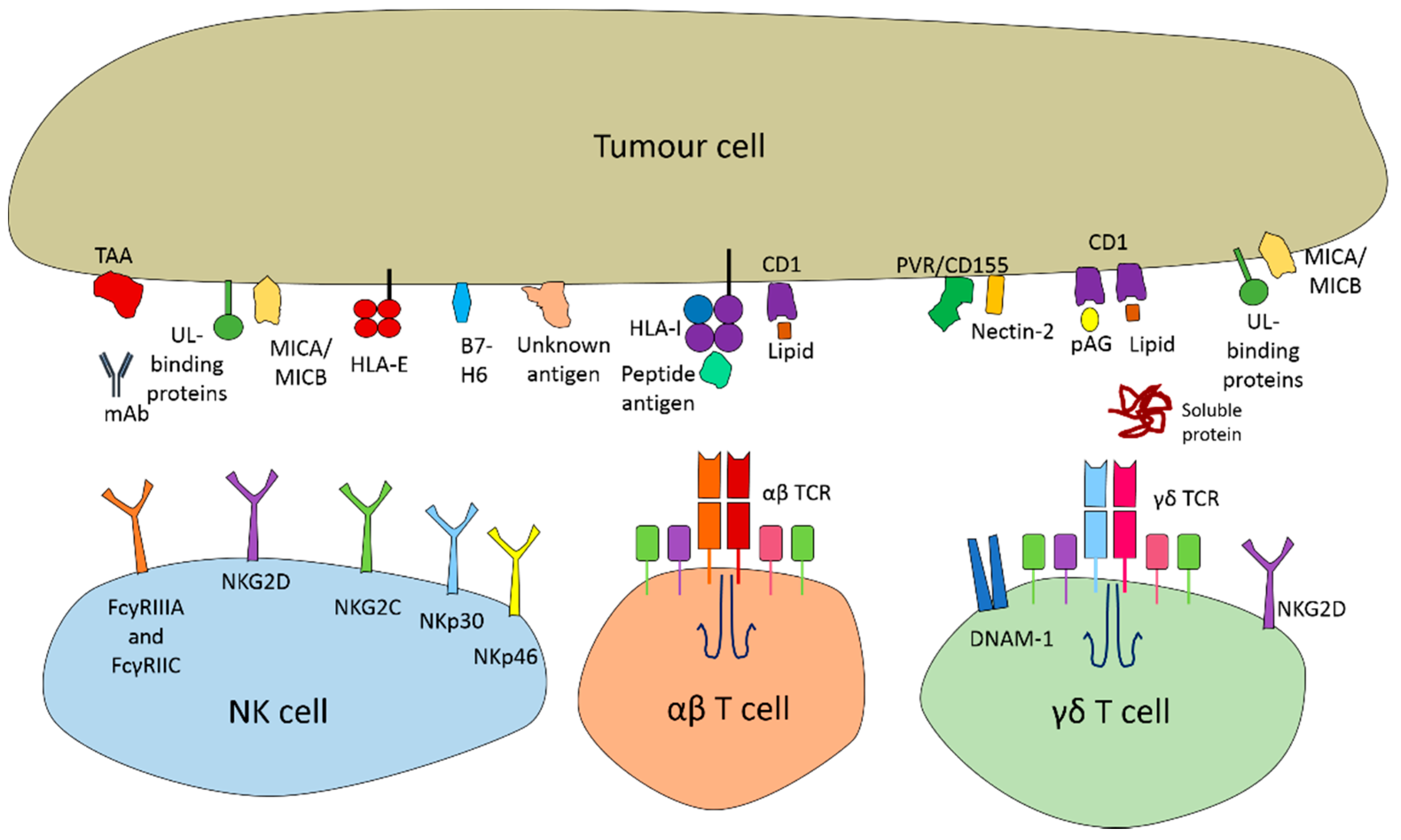 Cancers 13 01926 g001 Cancers 13 01926 g001