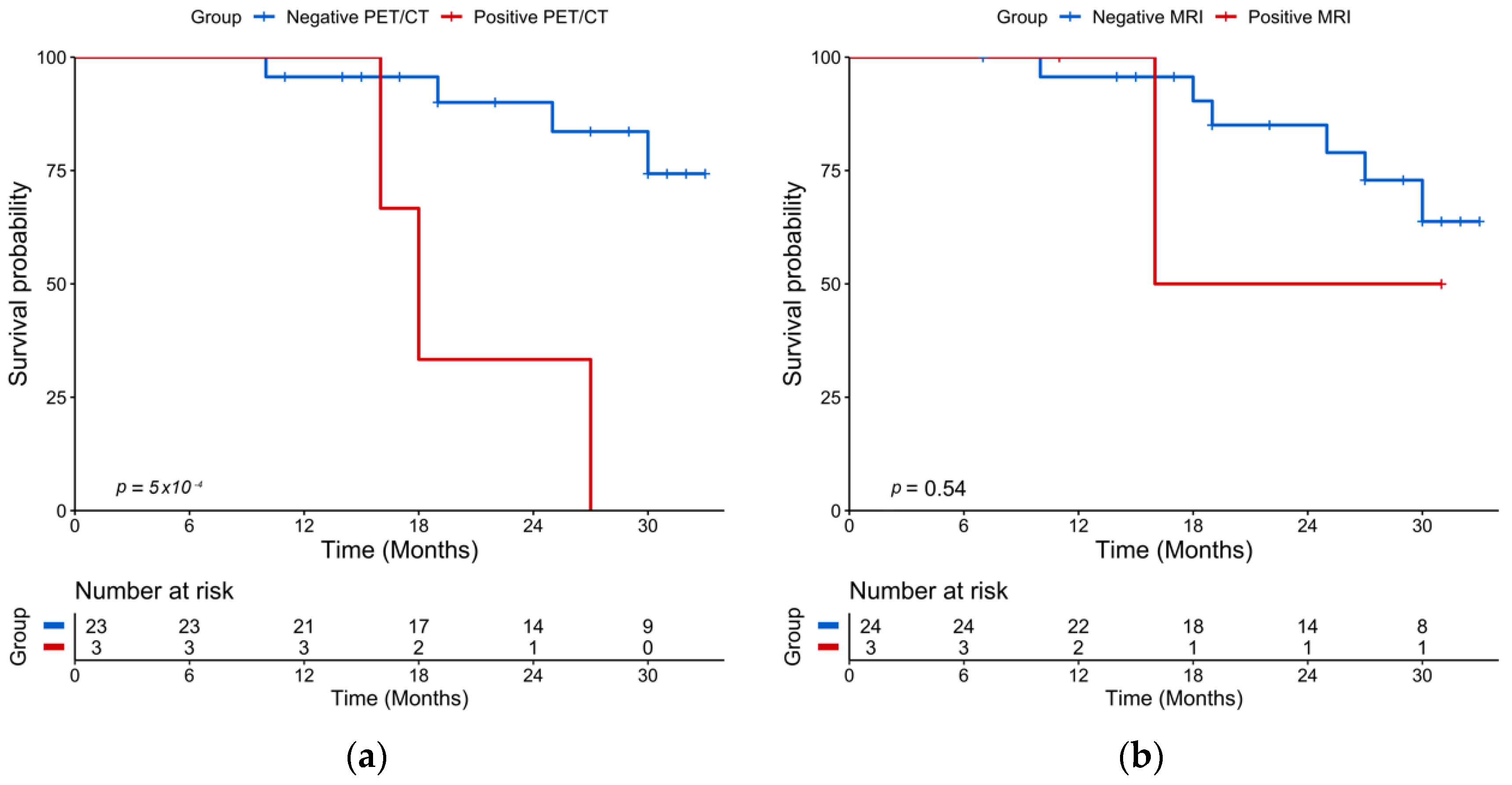 Cancers 13 01938 g003