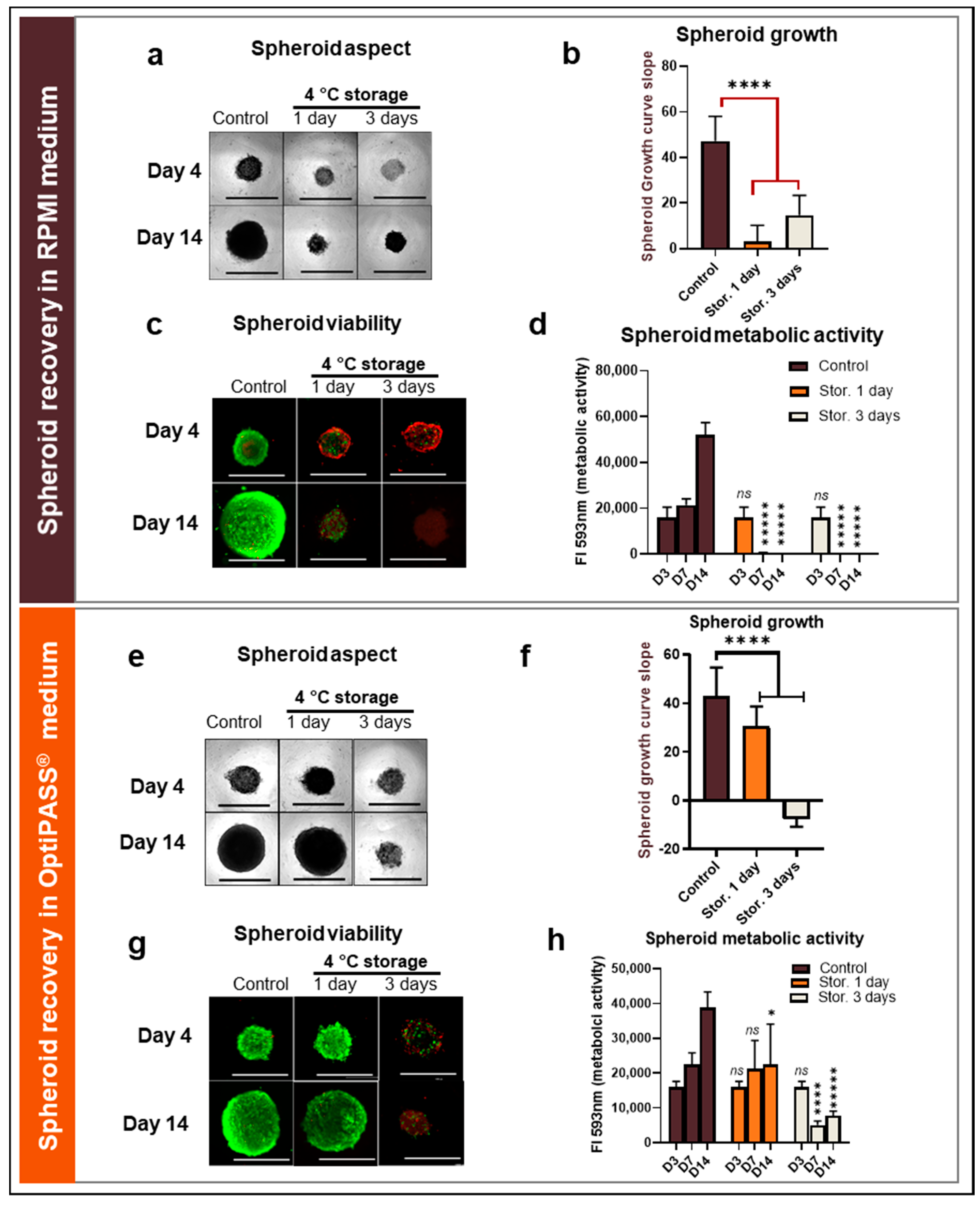 Cancers 13 01945 g002