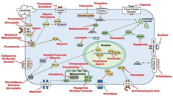 28番 An Alternative Pipeline for Glioblastoma Therapeutics: A