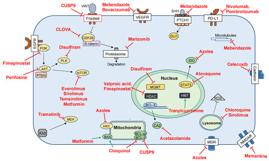 An Alternative Pipeline for Glioblastoma Therapeutics: A