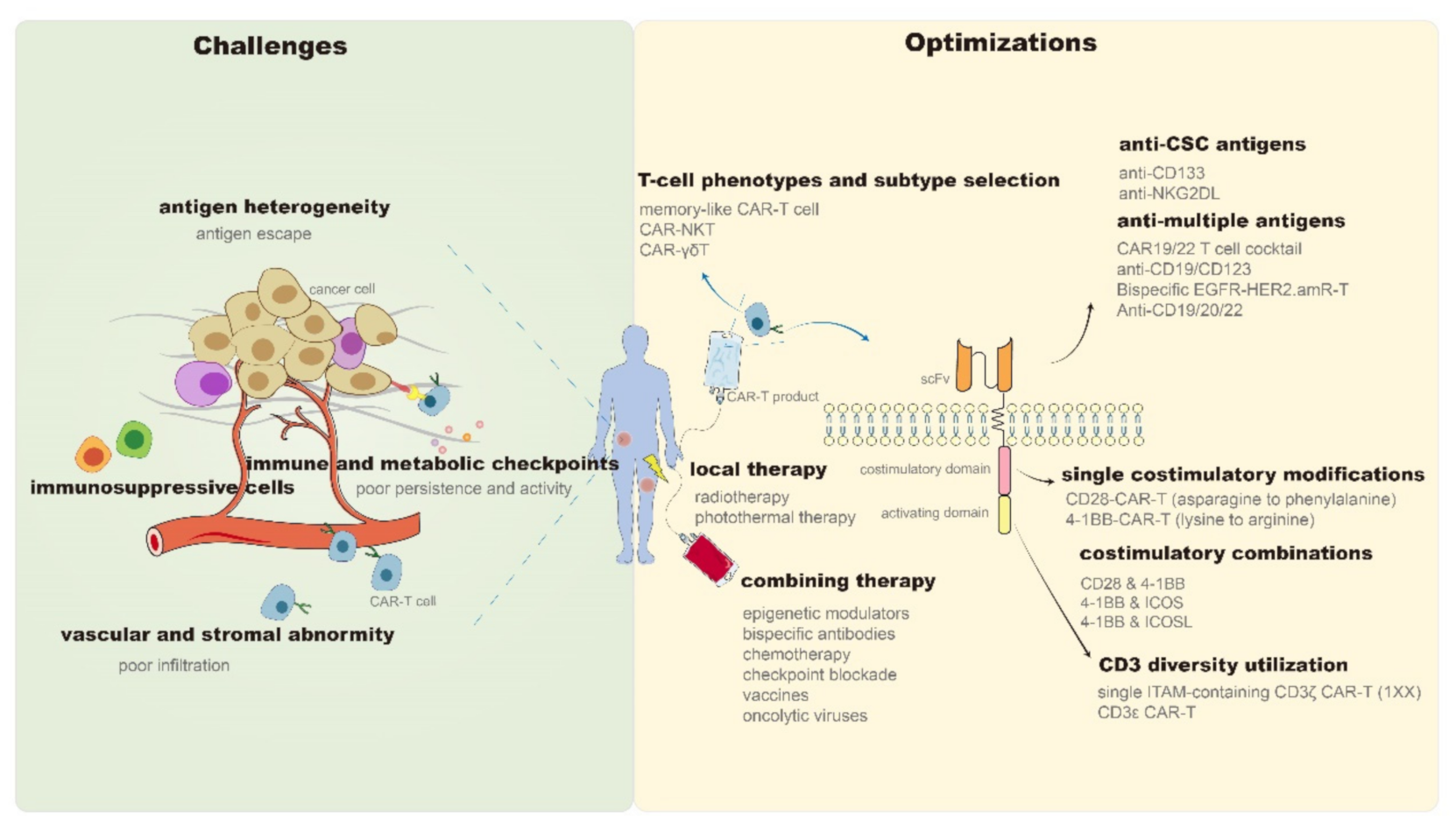 Cancers 13 01955 g001 Cancers 13 01955 g001