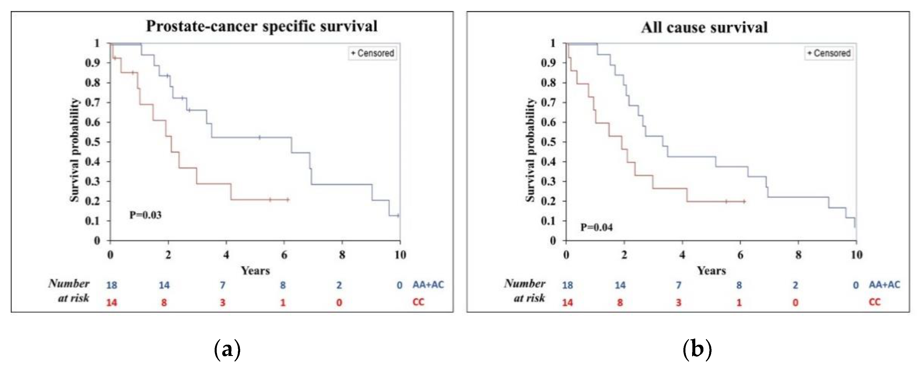 Cancers 13 01958 g001 Cancers 13 01958 g001