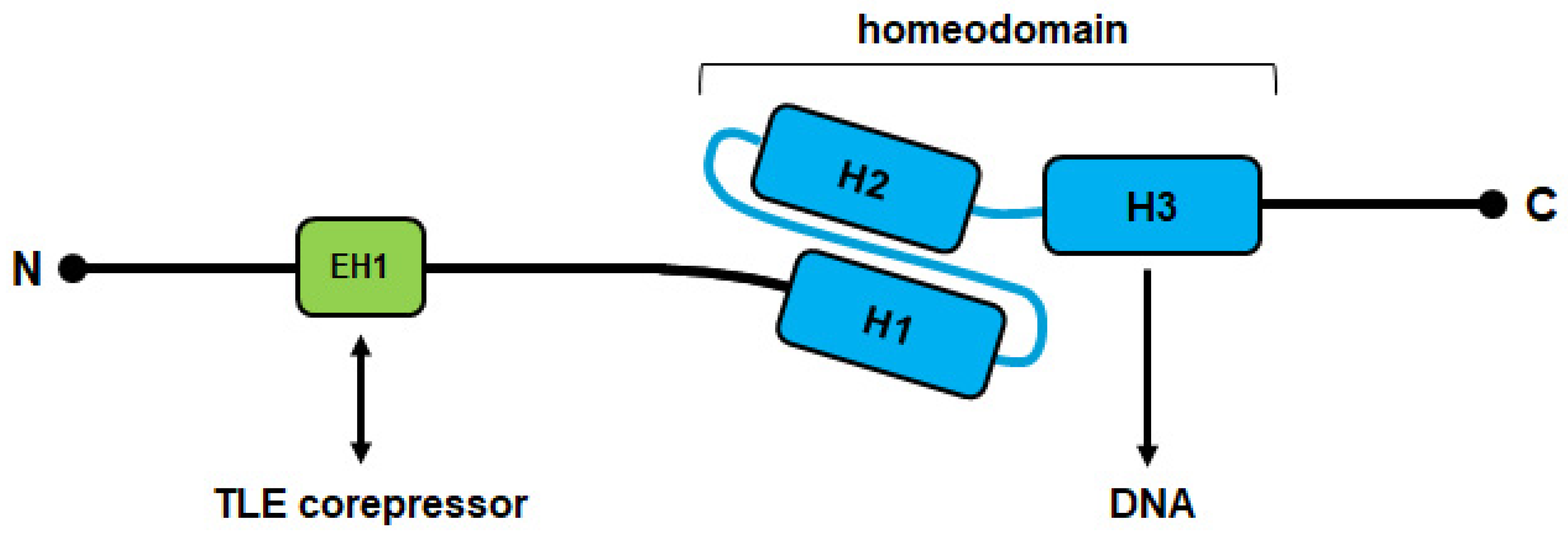 Cancers 13 01961 g002 Cancers 13 01961 g002