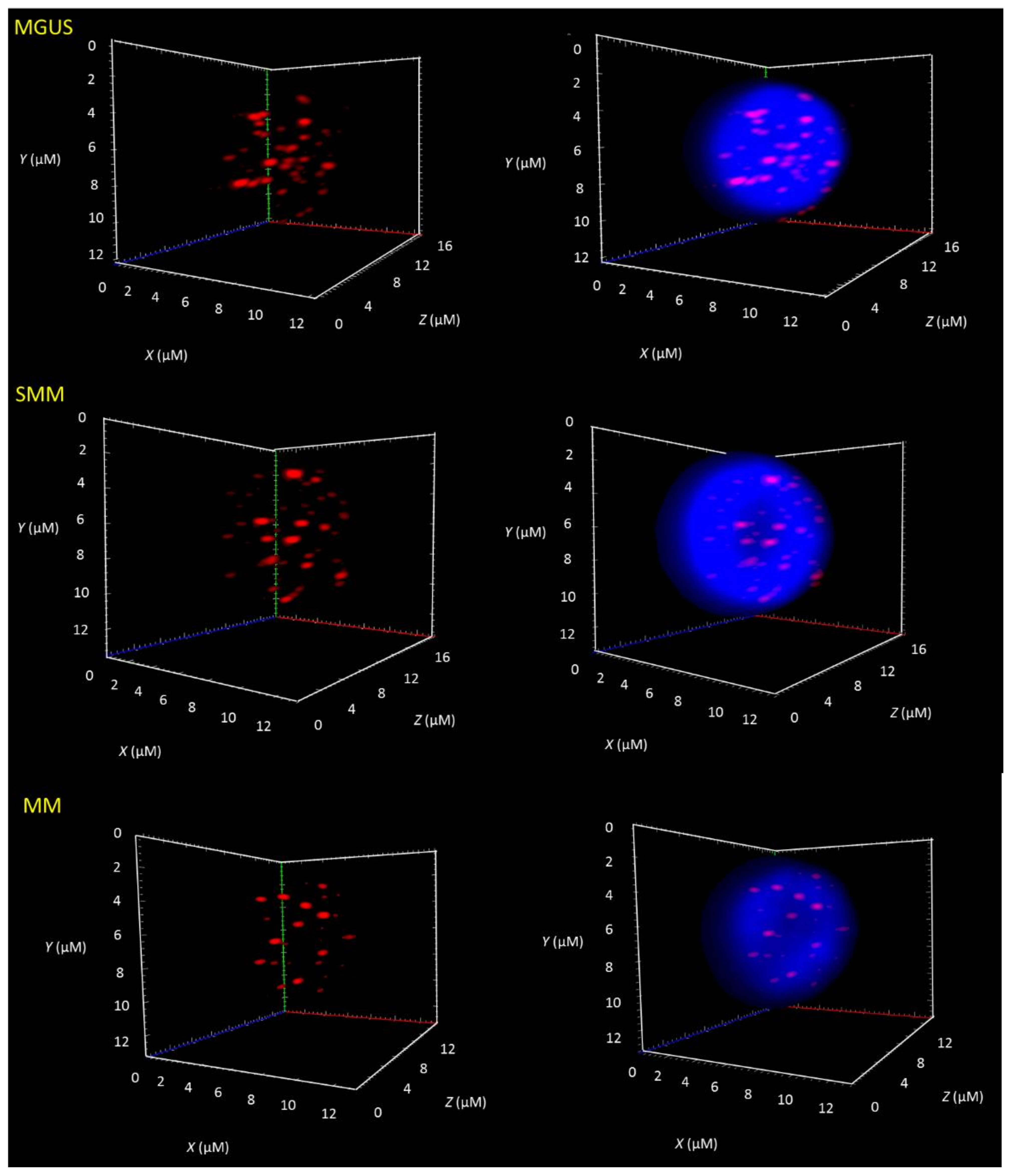 Cancers 13 01969 g001