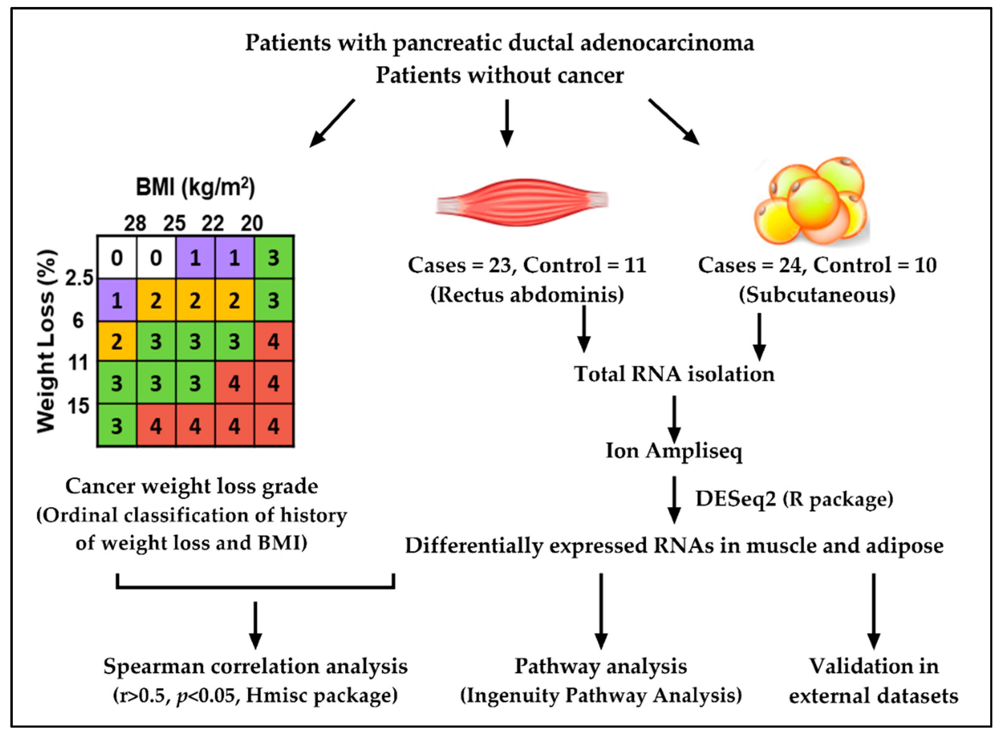 Cancers 13 01975 g001