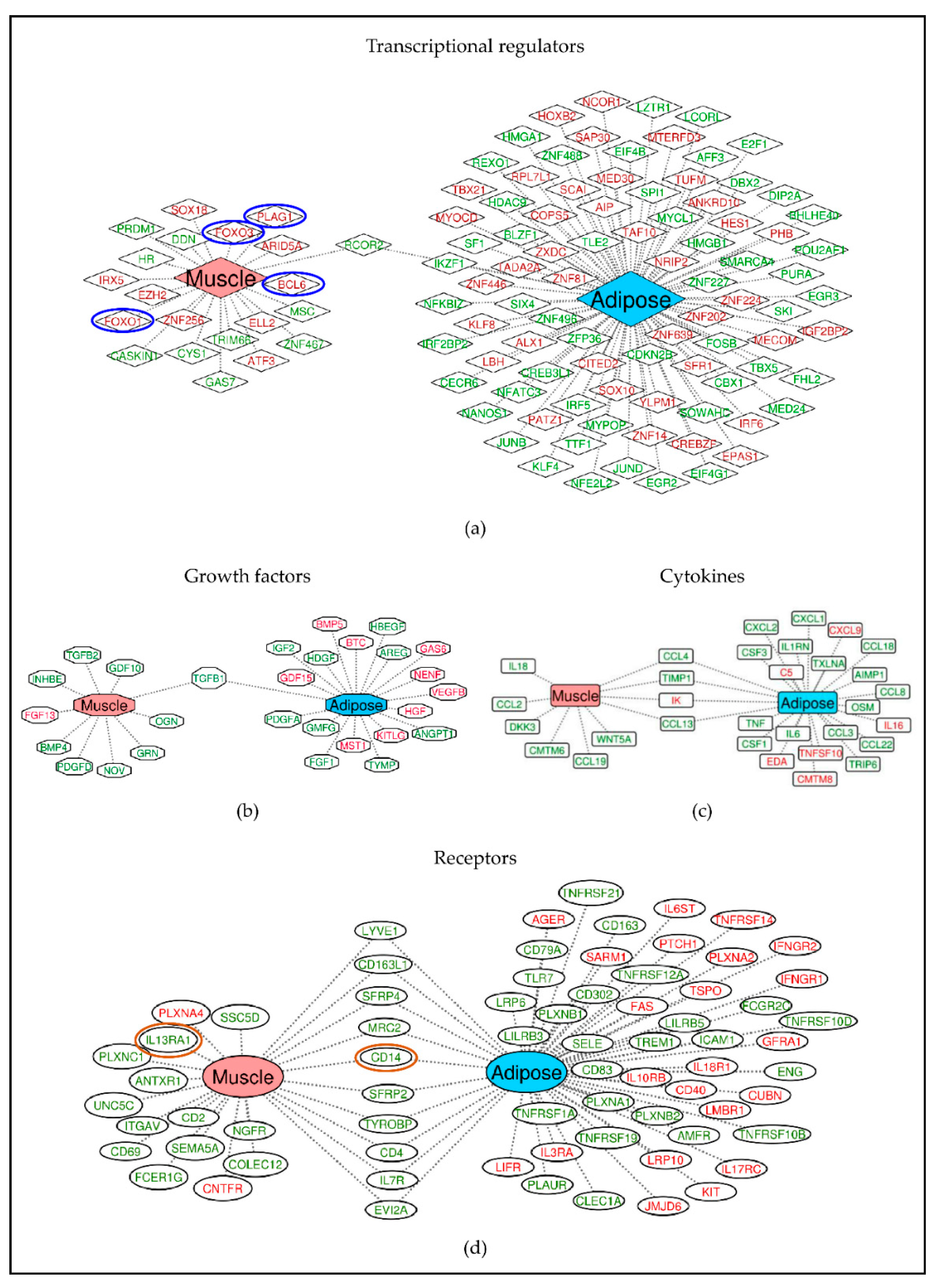Cancers 13 01975 g005