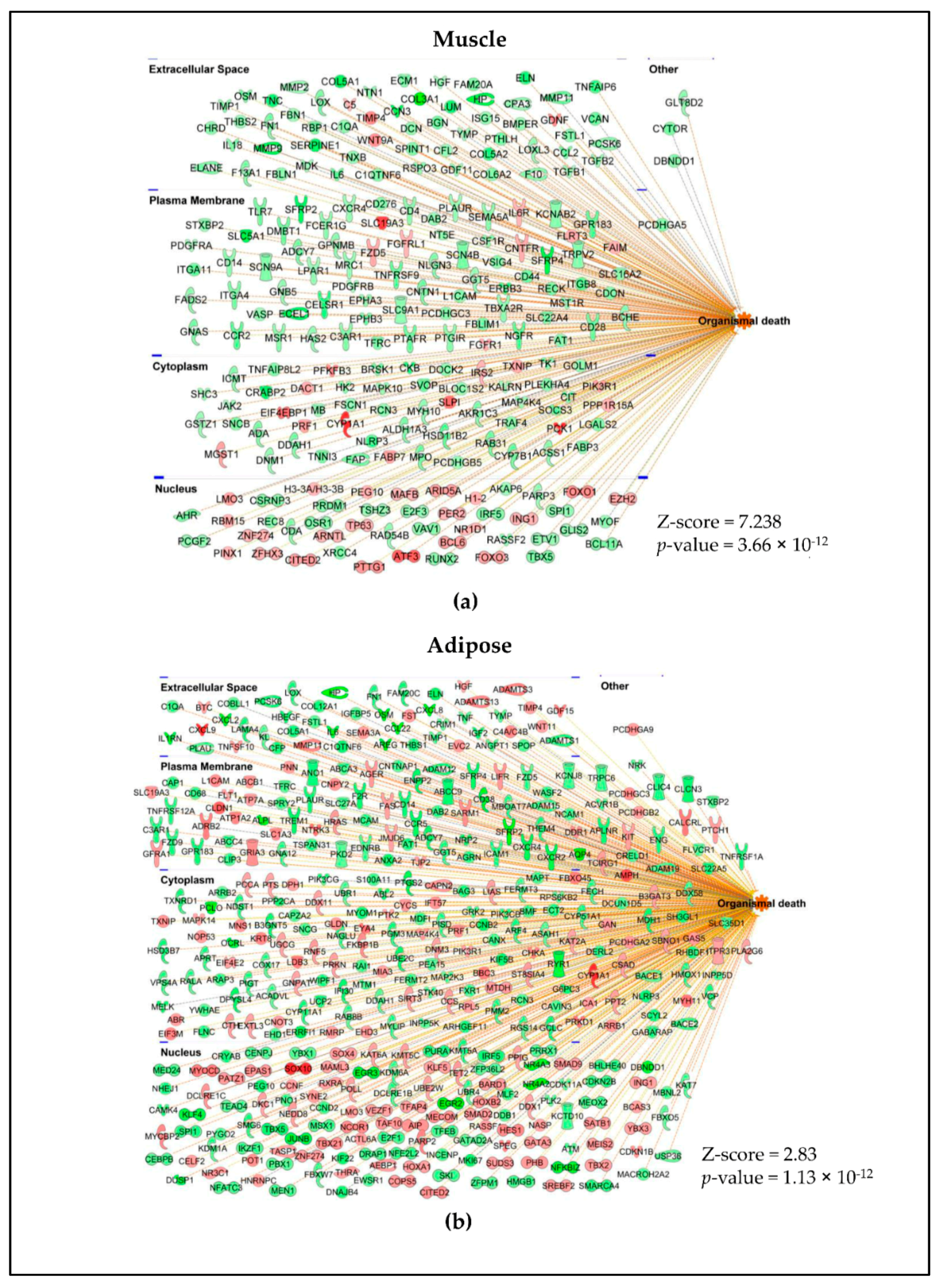 Cancers 13 01975 g006