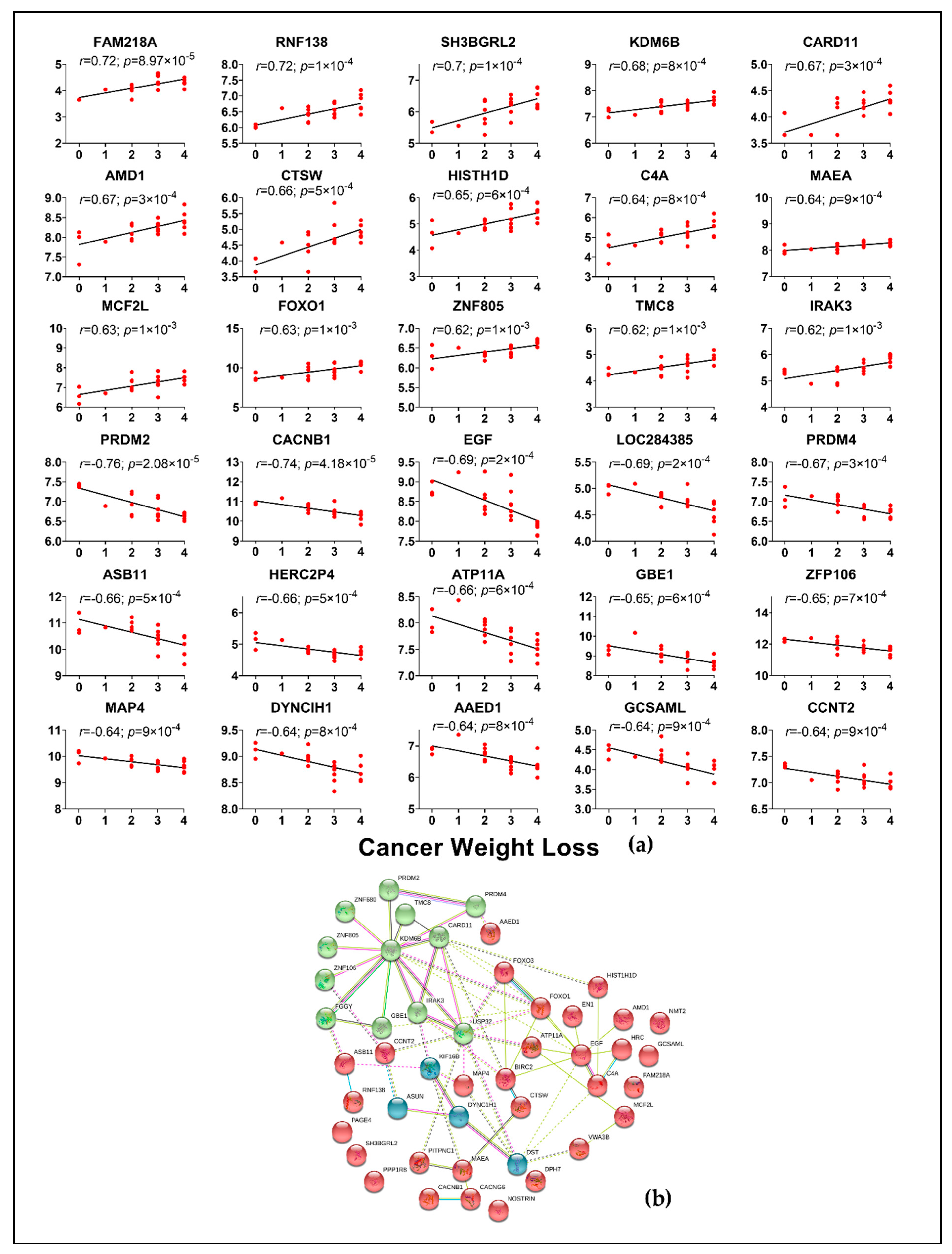 Cancers 13 01975 g007