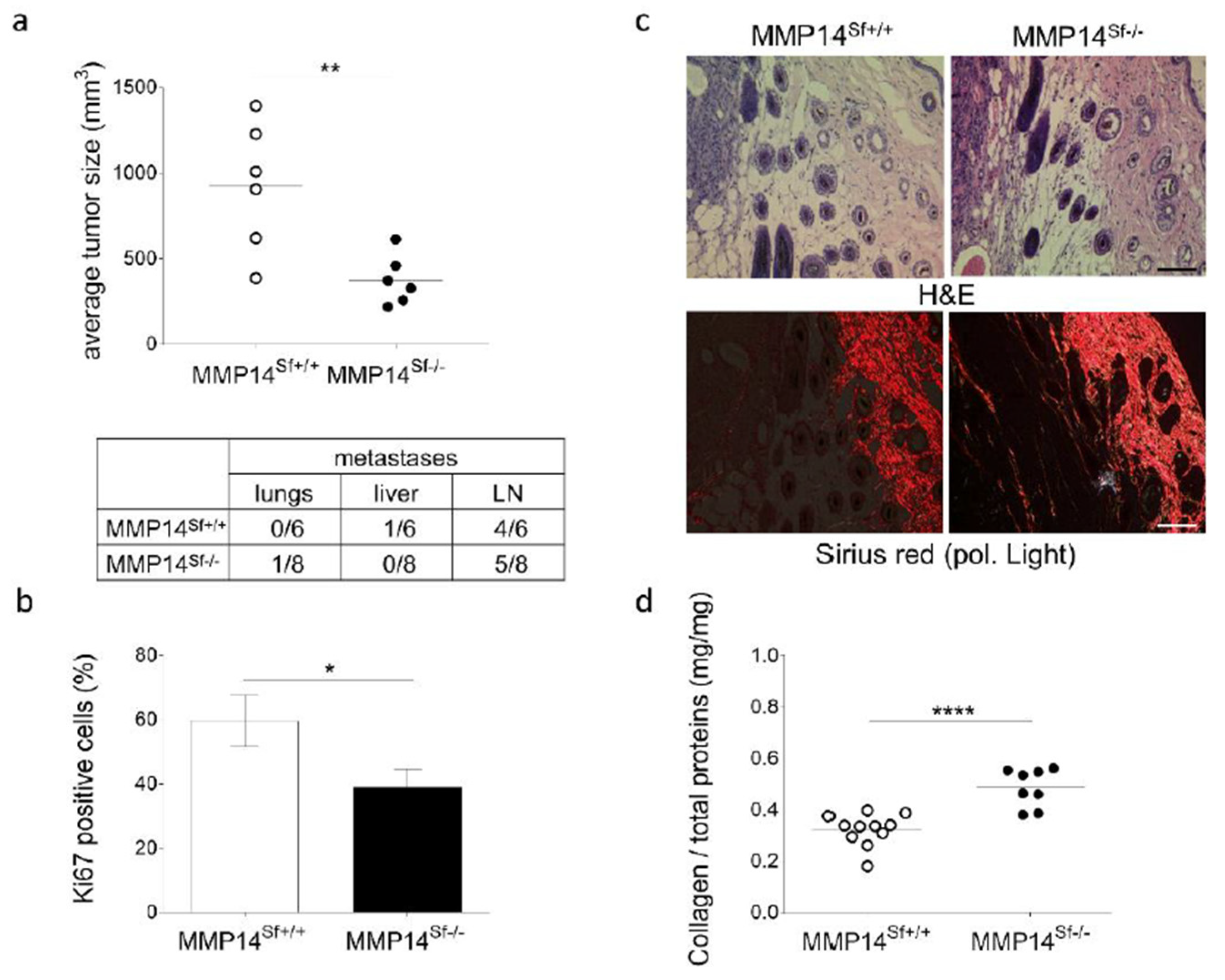 Cancers 13 01984 g001