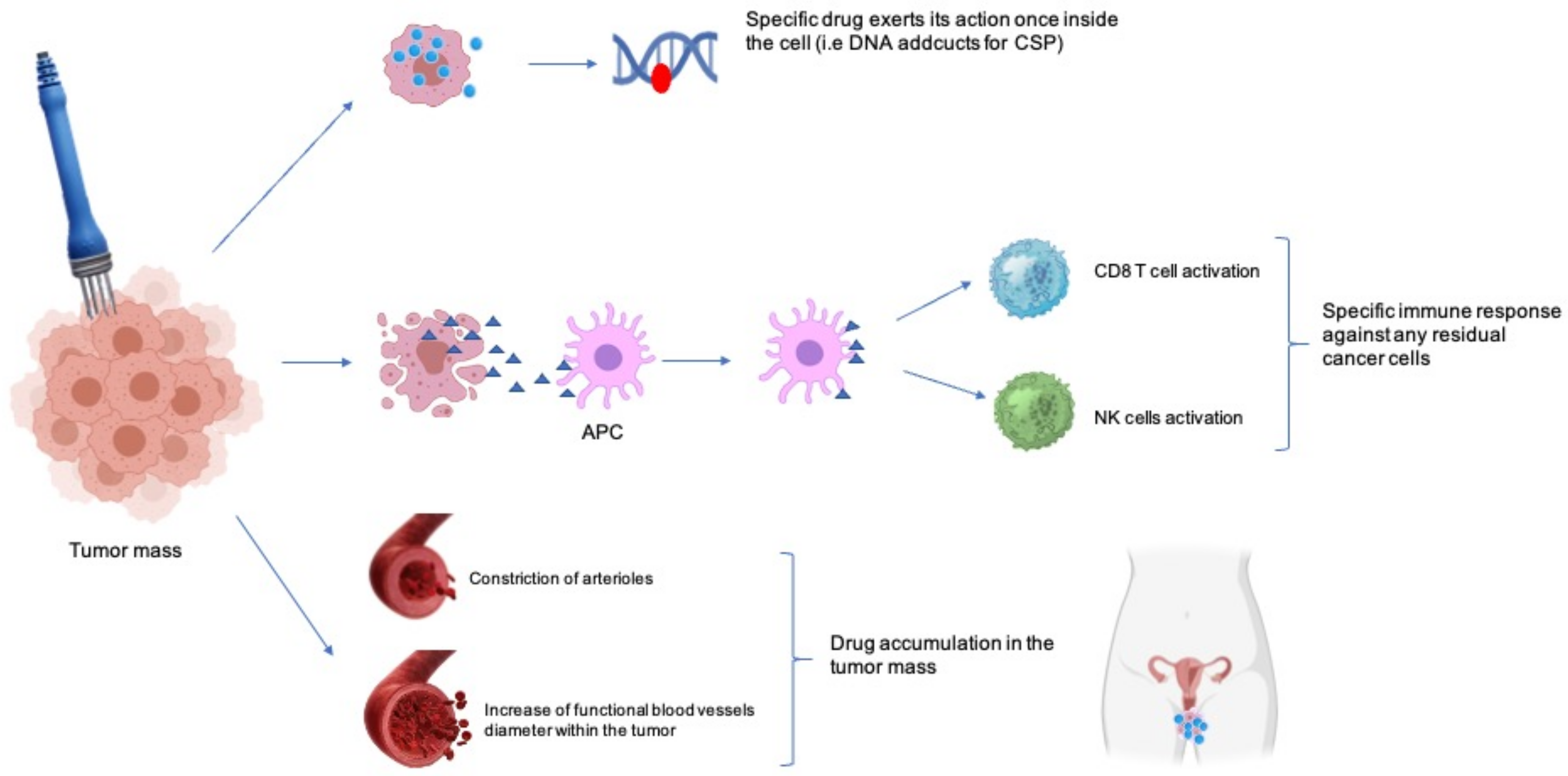 Cancers 13 01993 g002