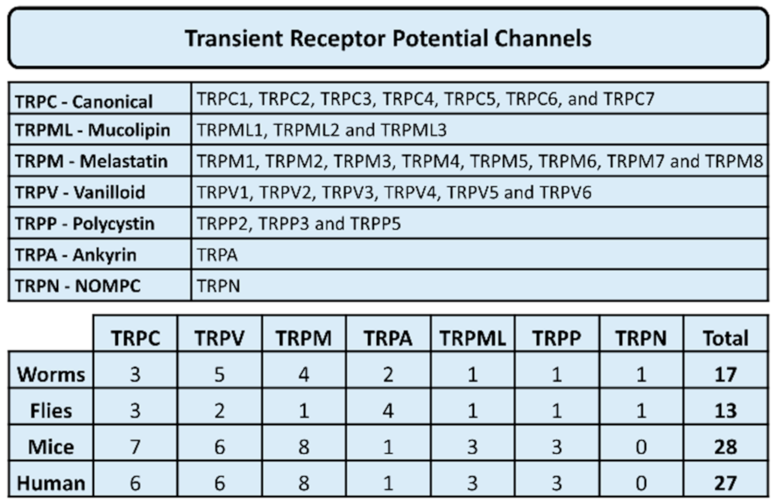 Cancers 13 01994 g002 Cancers 13 01994 g002