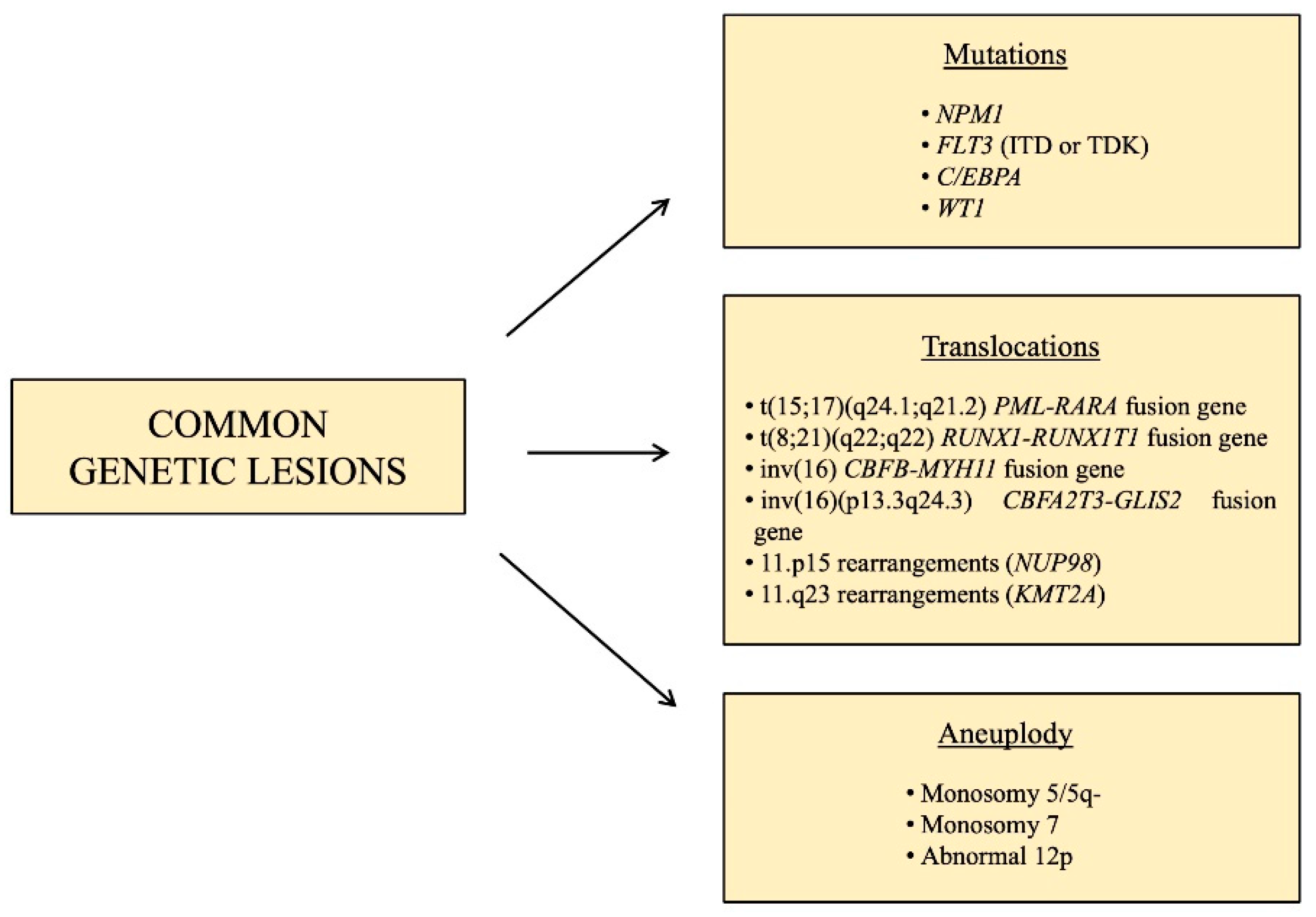 Cancers 13 01995 g001