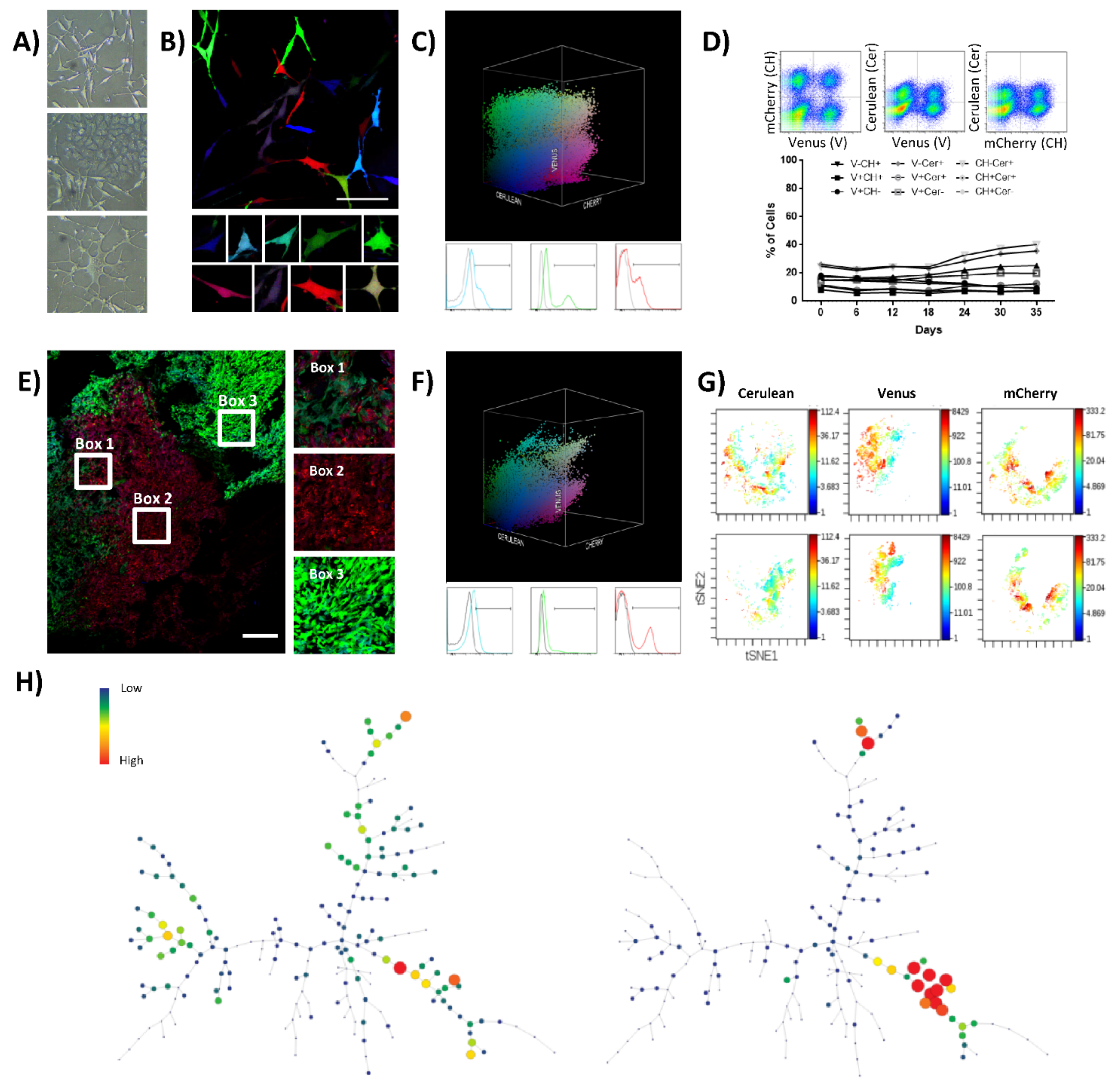 Cancers 13 02003 g001 Cancers 13 02003 g001