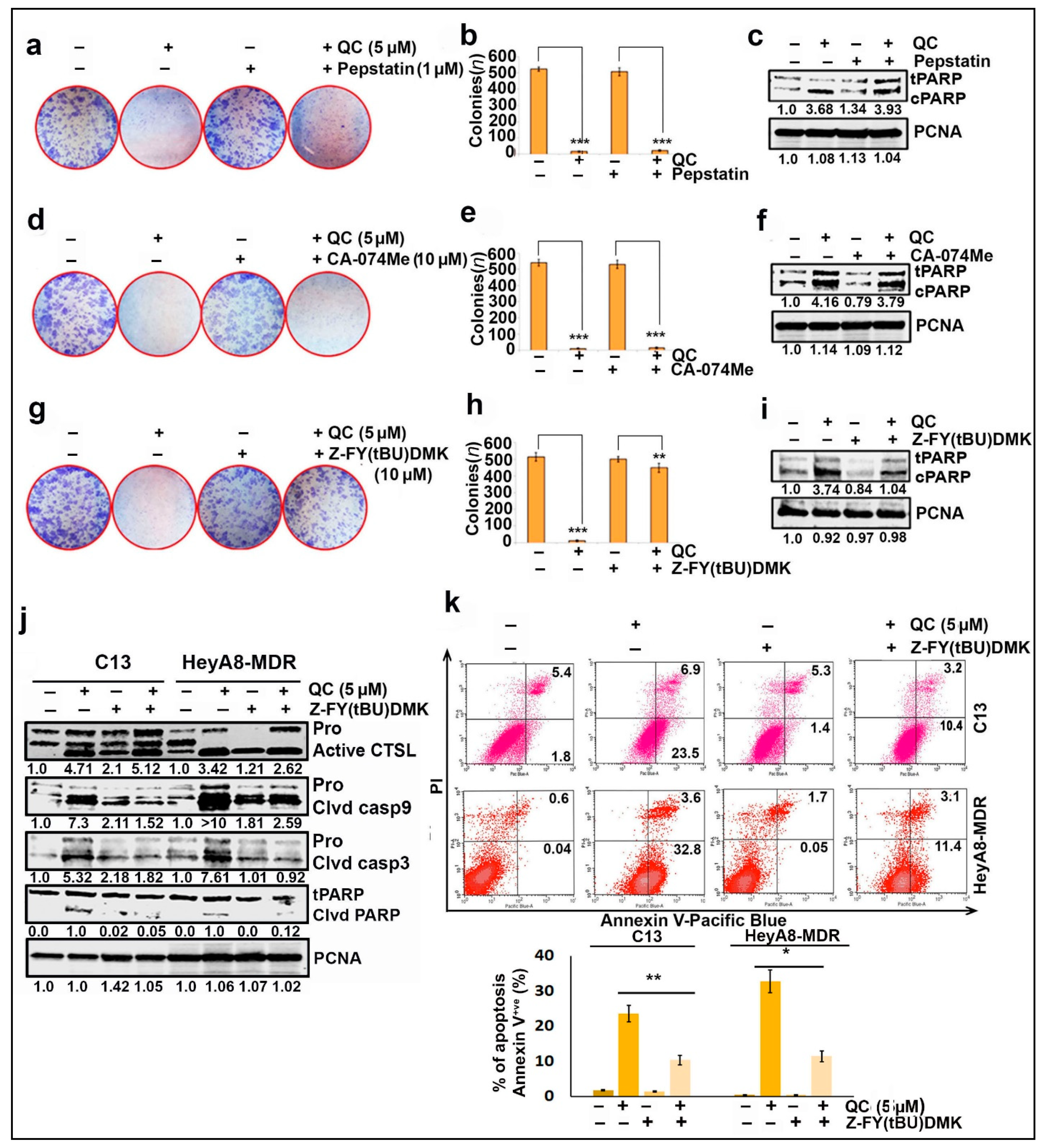 Cancers 13 02004 g002 Cancers 13 02004 g002