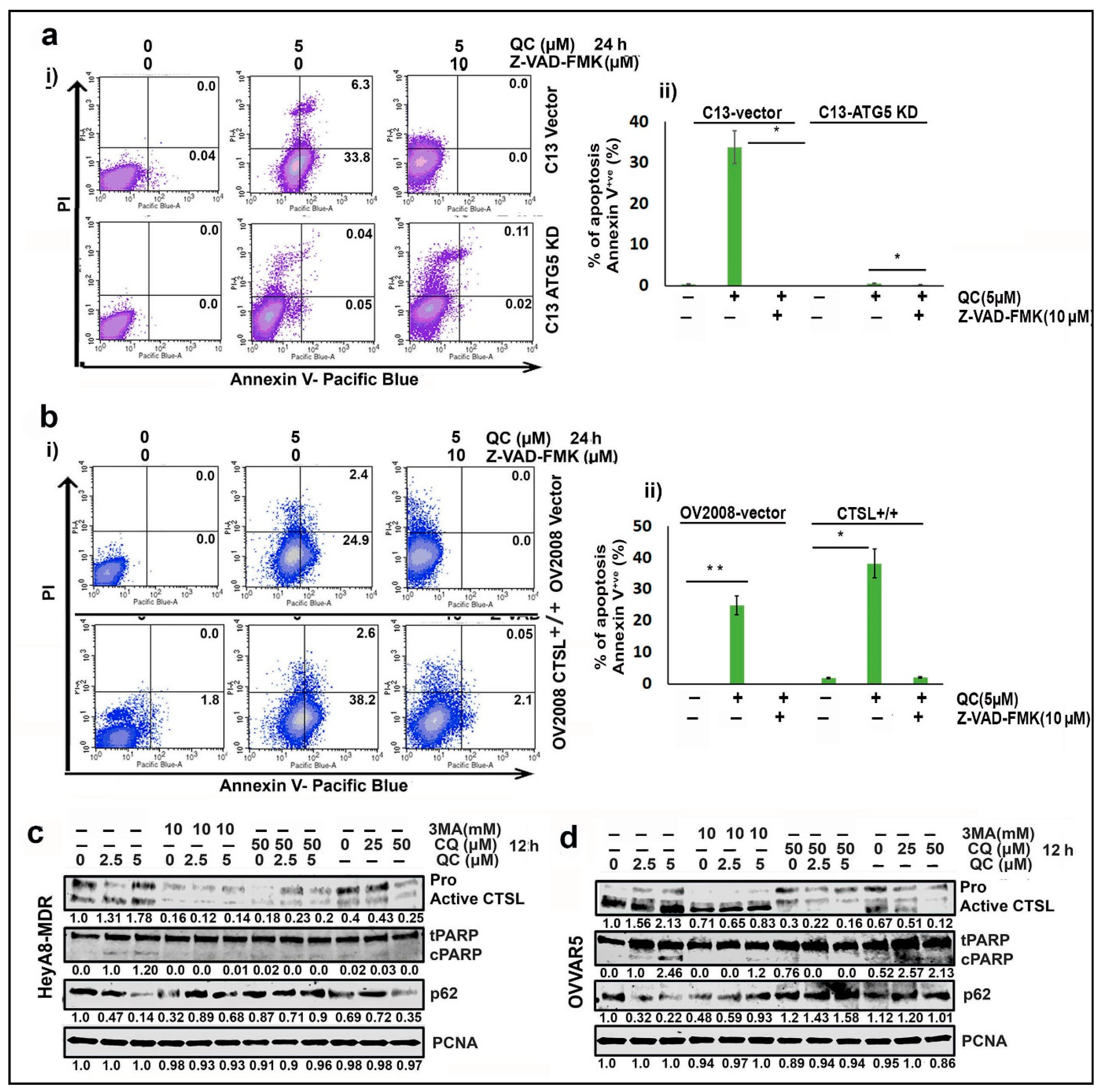 Cancers 13 02004 g003 Cancers 13 02004 g003
