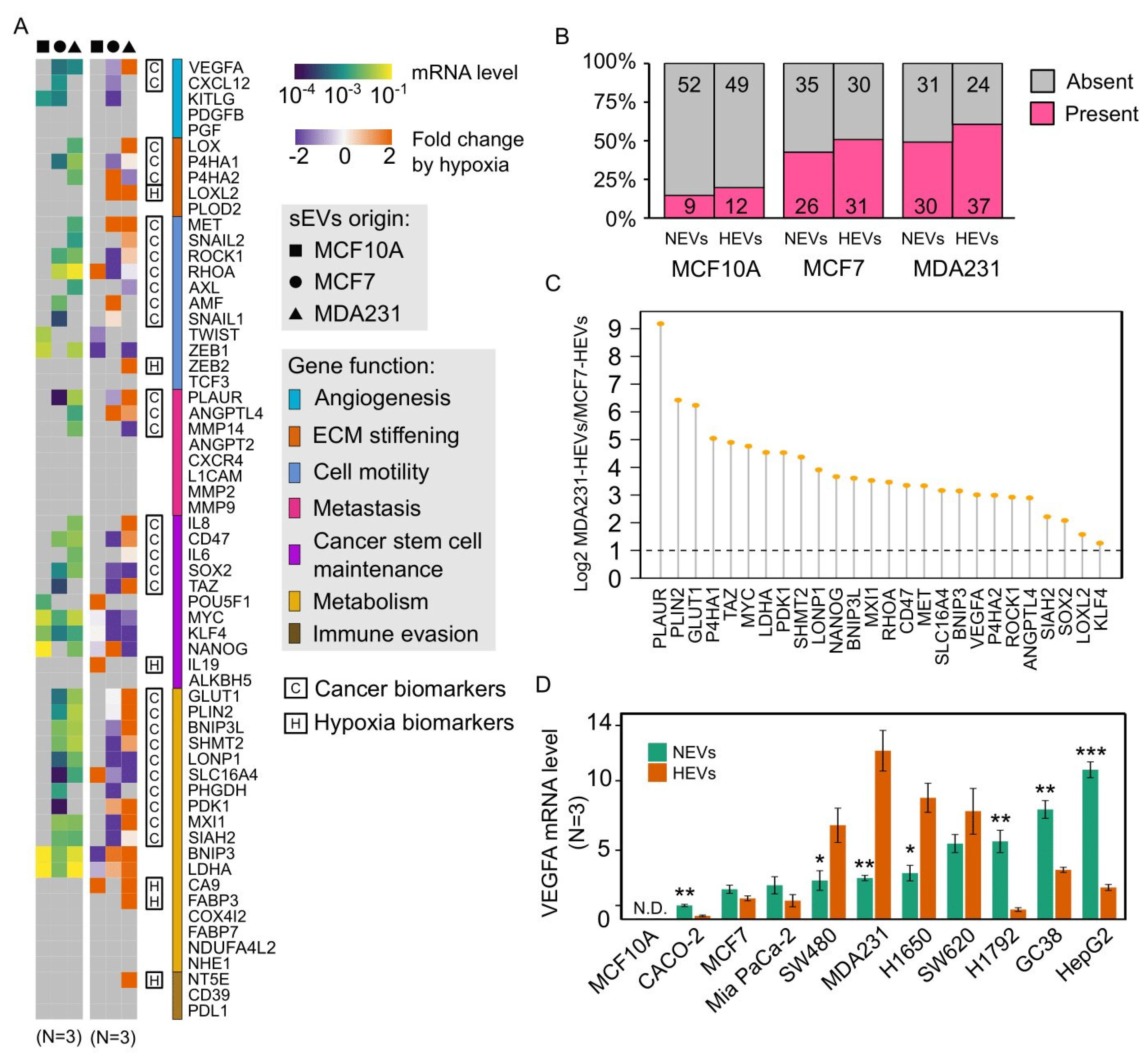 Cancers 13 02009 g002