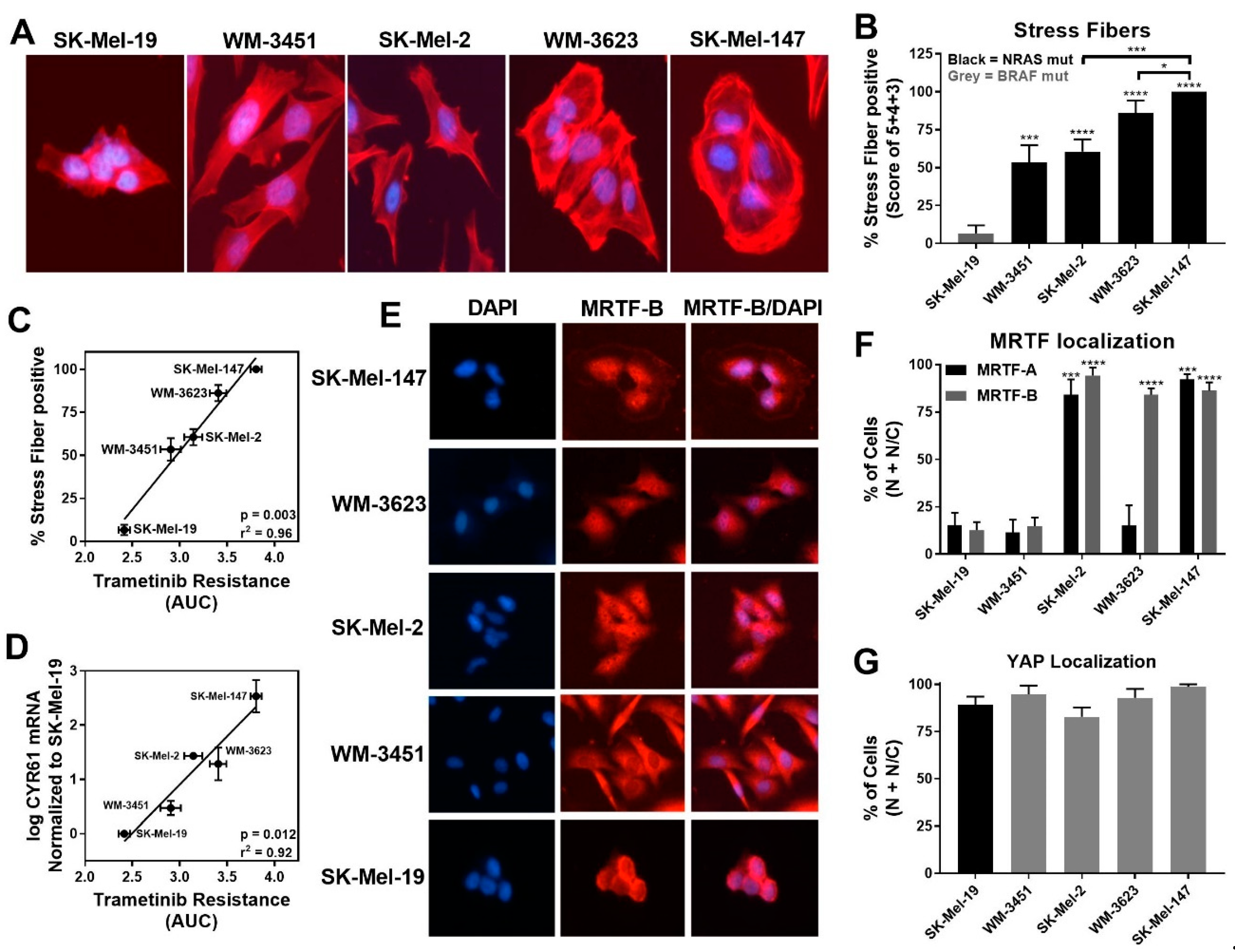 Cancers 13 02012 g002 Cancers 13 02012 g002