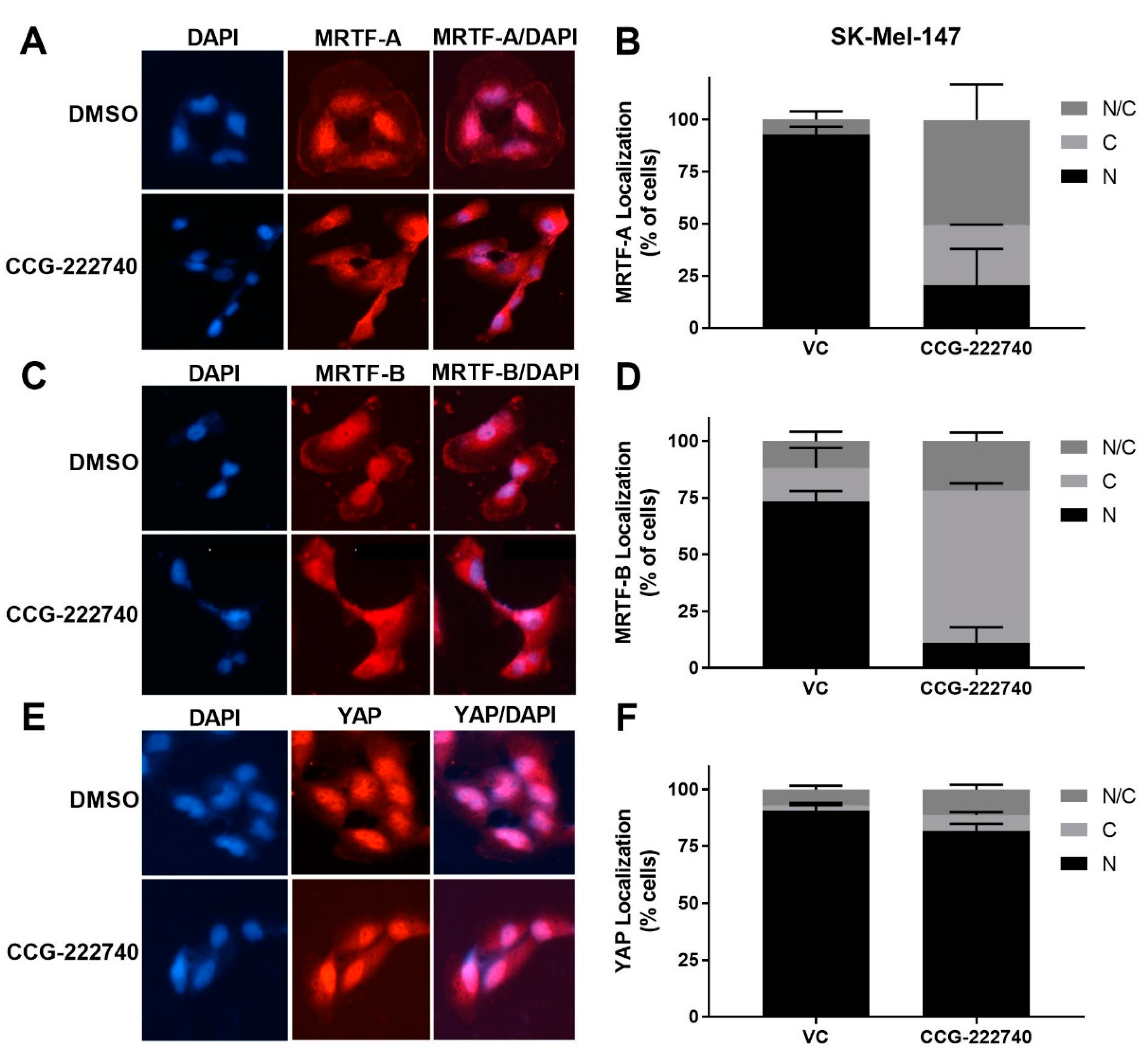 Cancers 13 02012 g004 Cancers 13 02012 g004