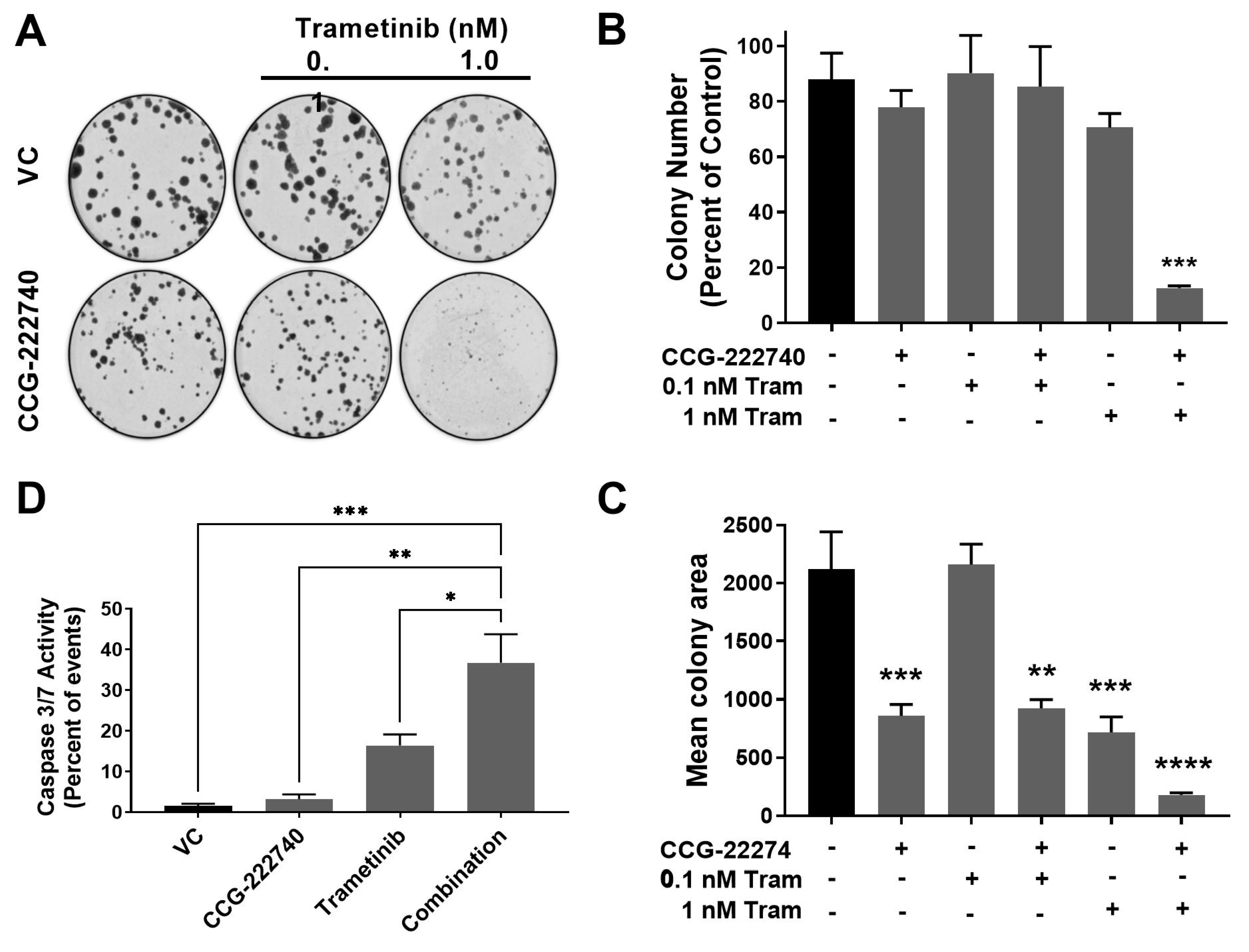 Cancers 13 02012 g006 Cancers 13 02012 g006