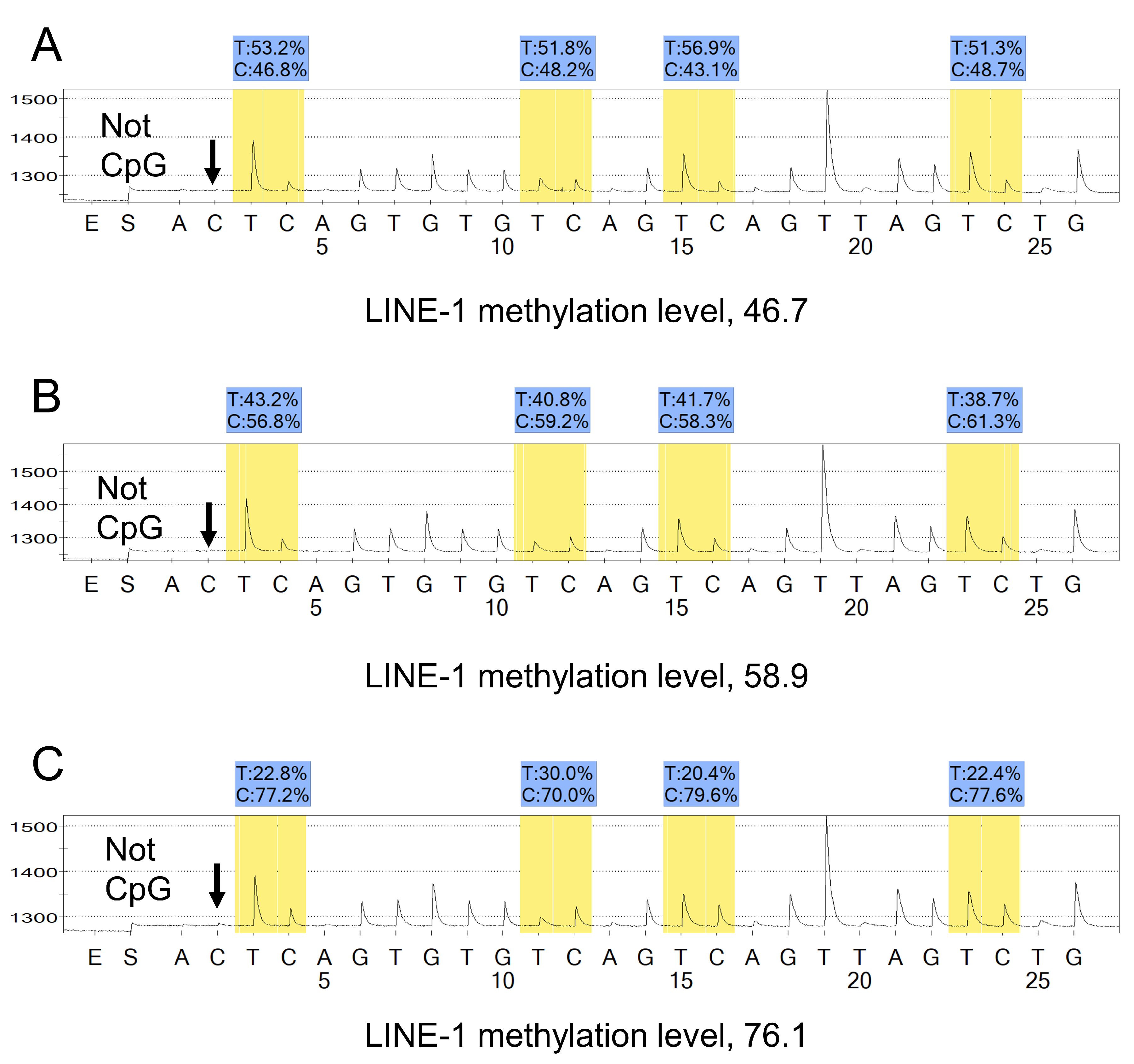 Cancers 13 02016 g002