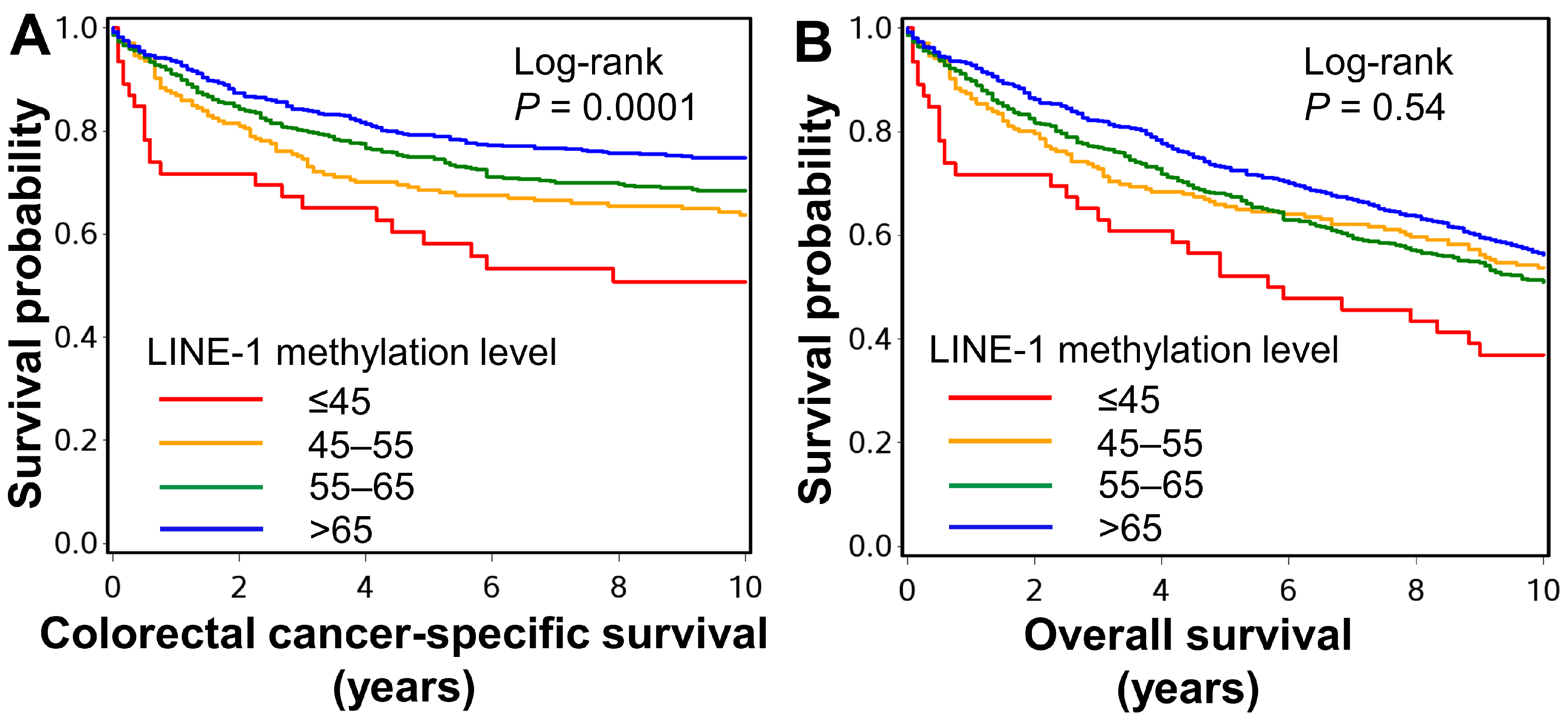 Cancers 13 02016 g005