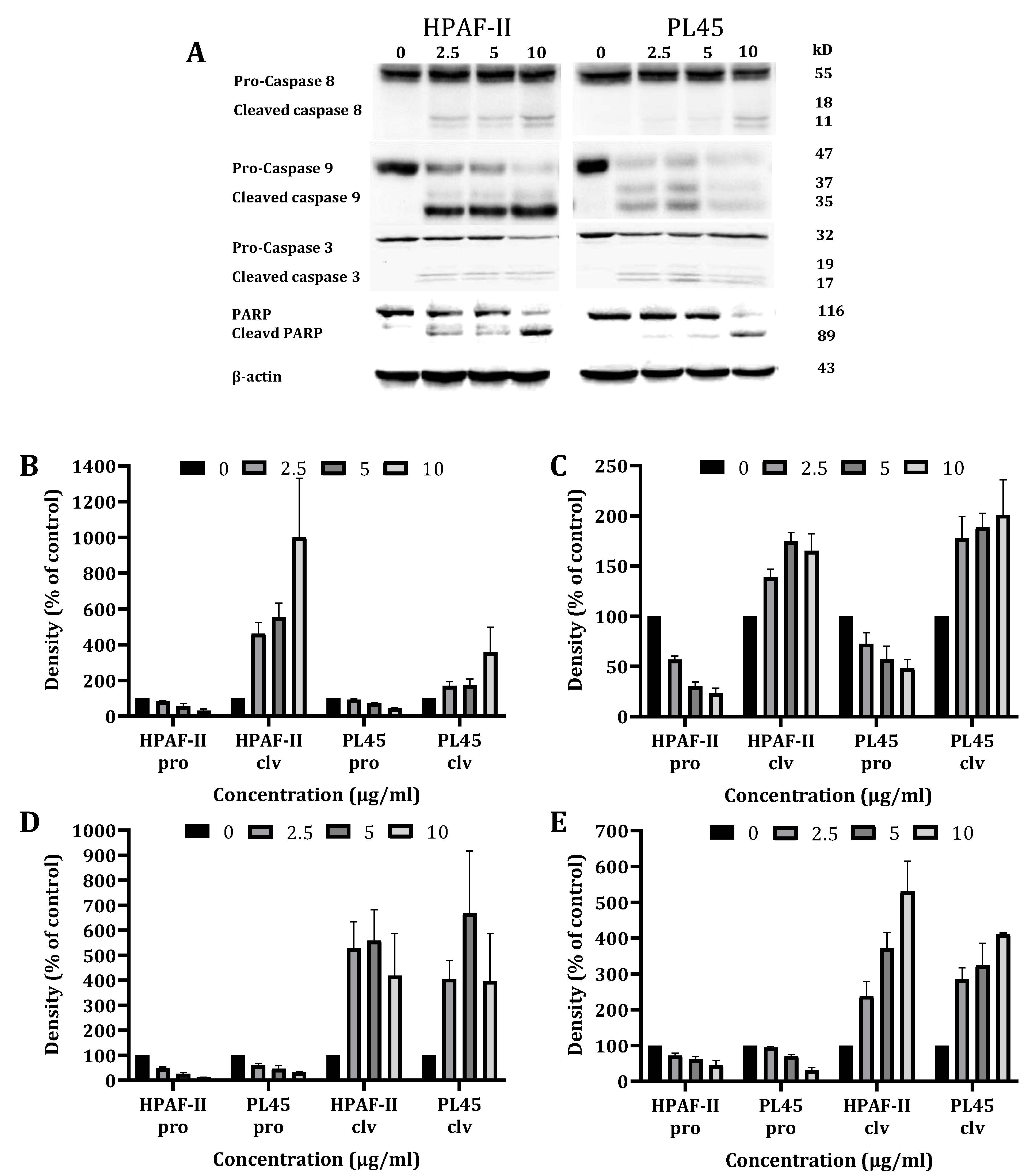 Cancers 13 02017 g003