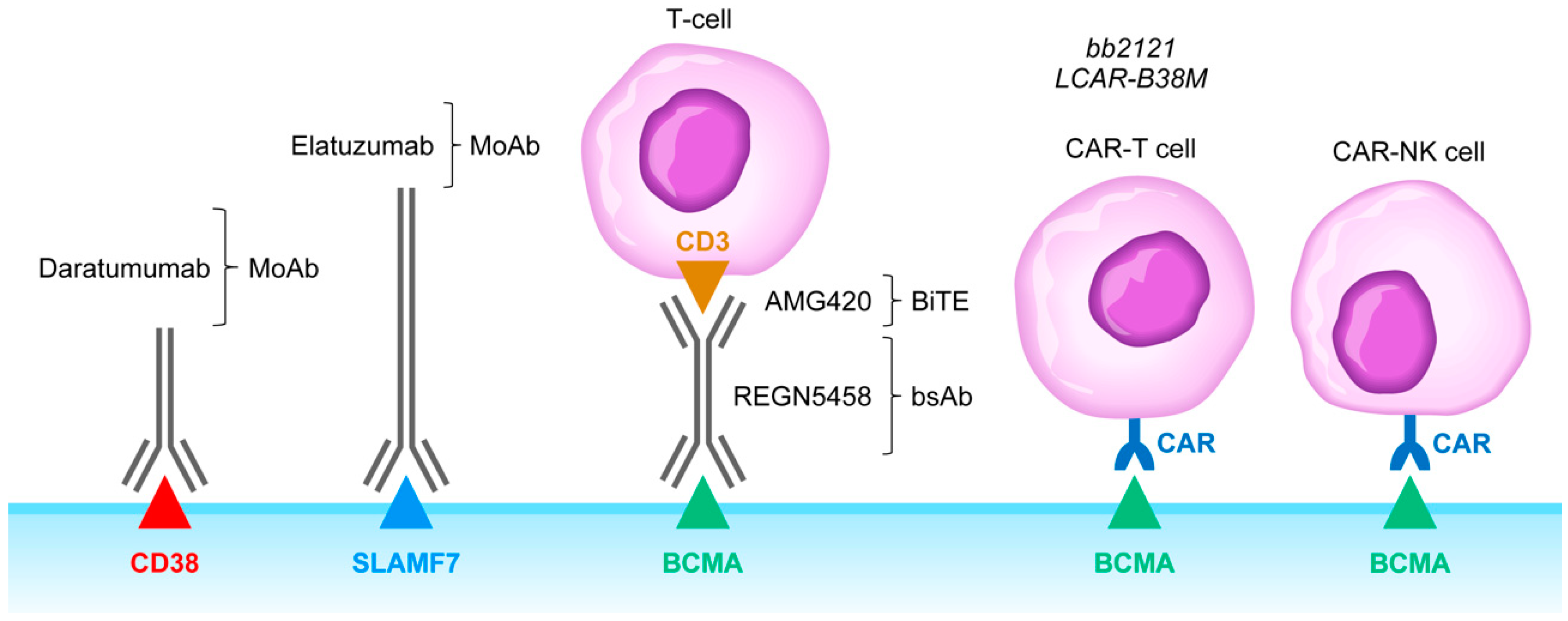 Cancers 13 02018 g002
