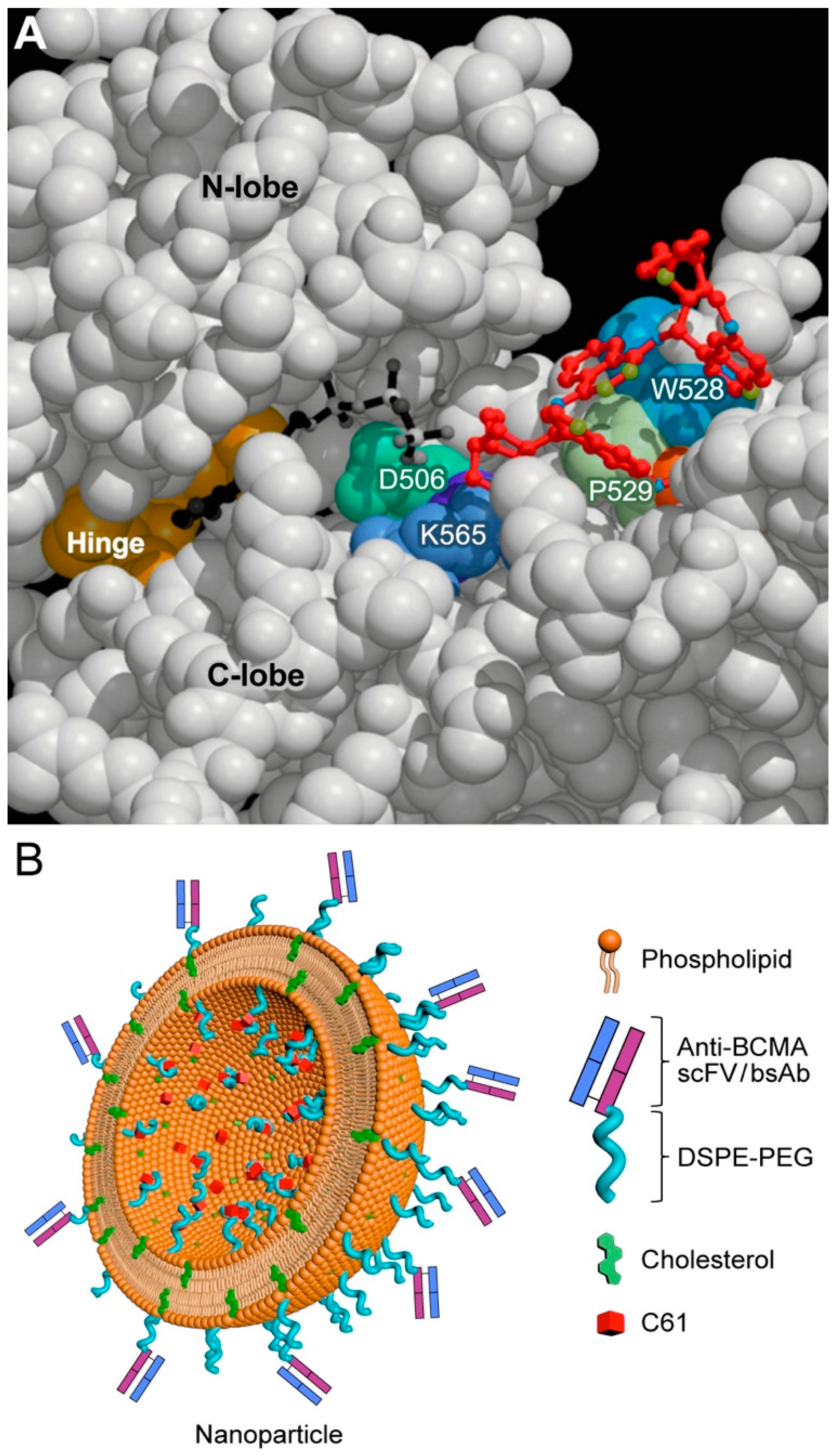 Cancers 13 02018 g004