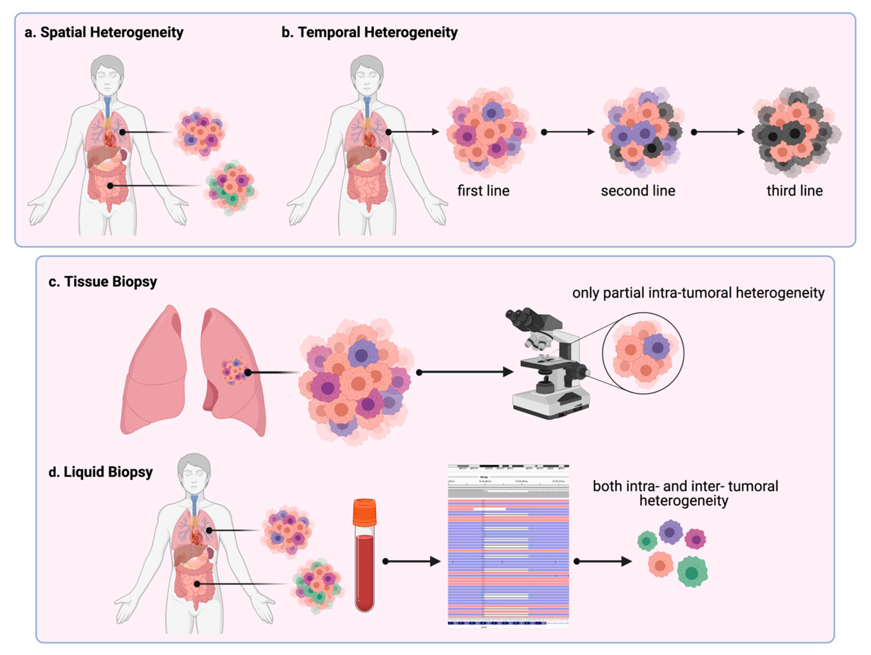 Cancers 13 02023 g001