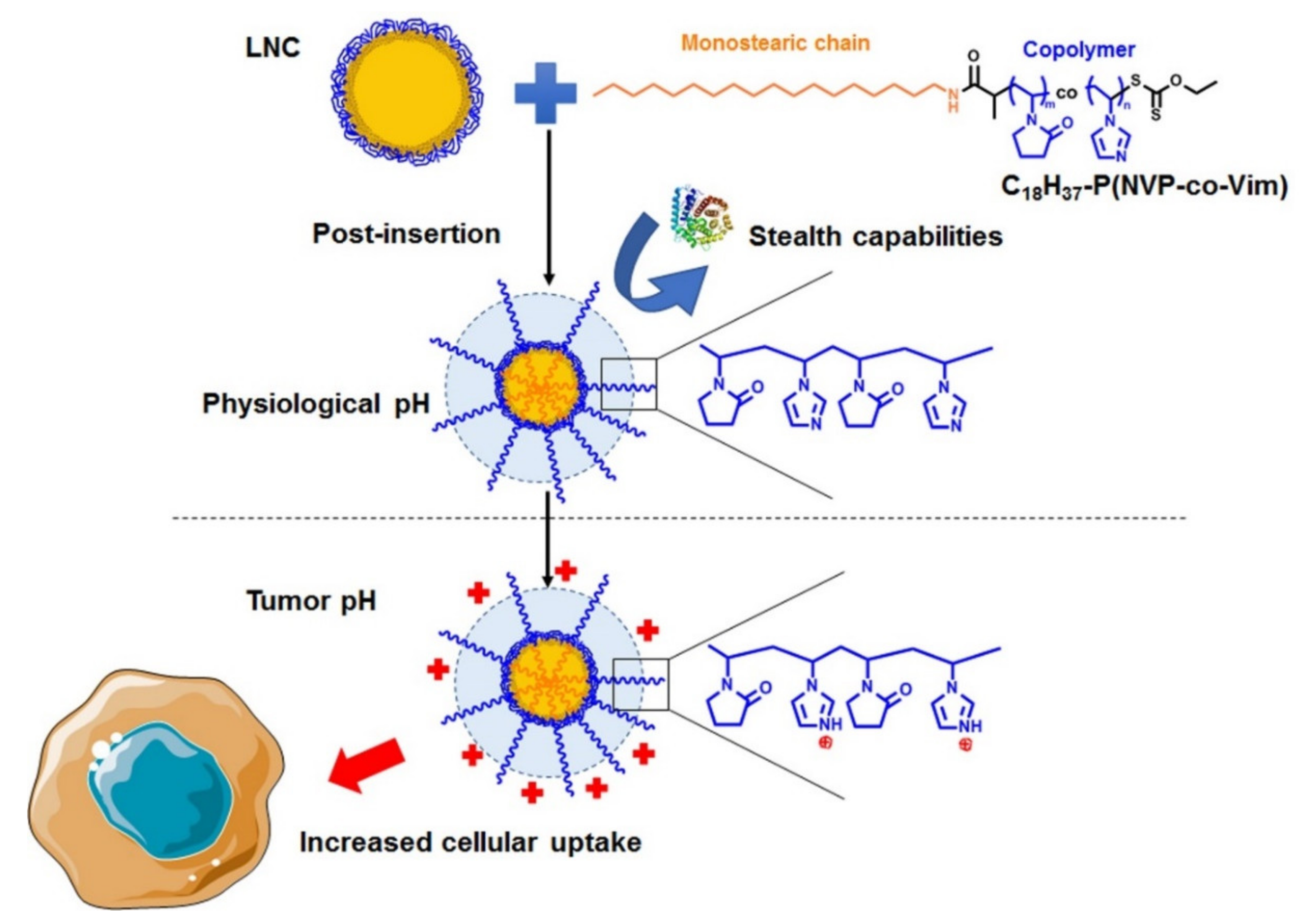 Cancers 13 02028 g001 Cancers 13 02028 g001