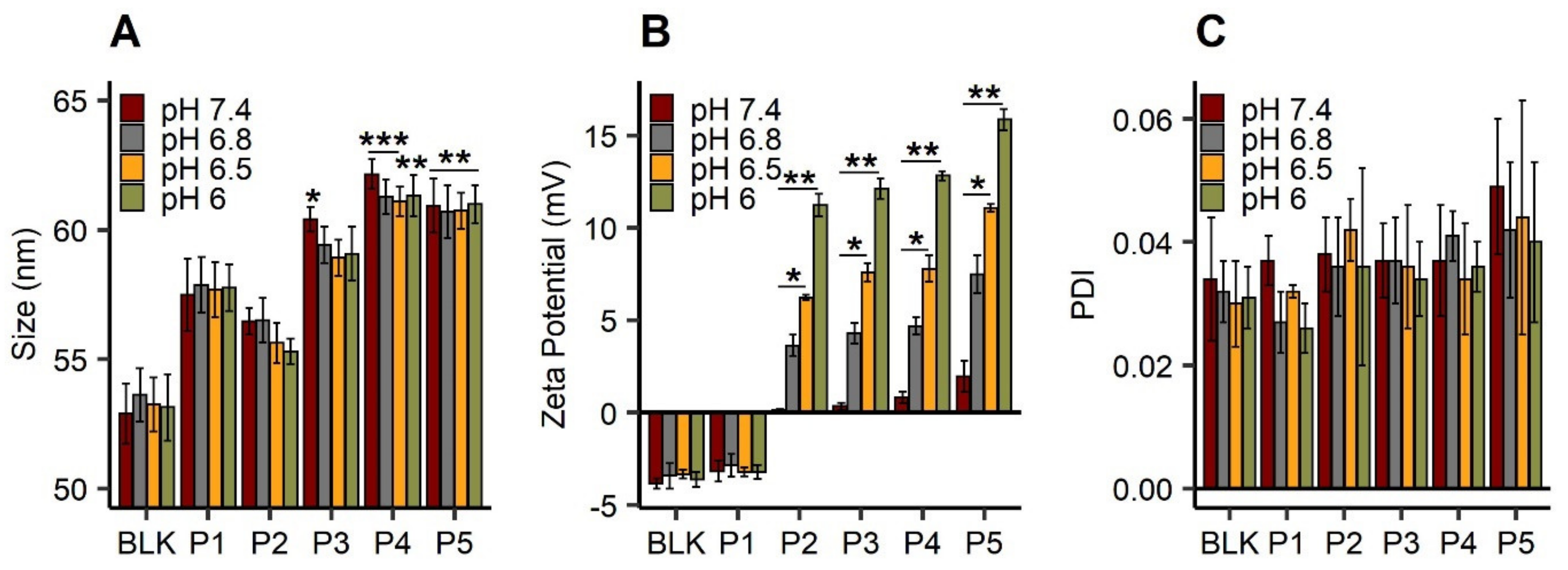 Cancers 13 02028 g002 Cancers 13 02028 g002