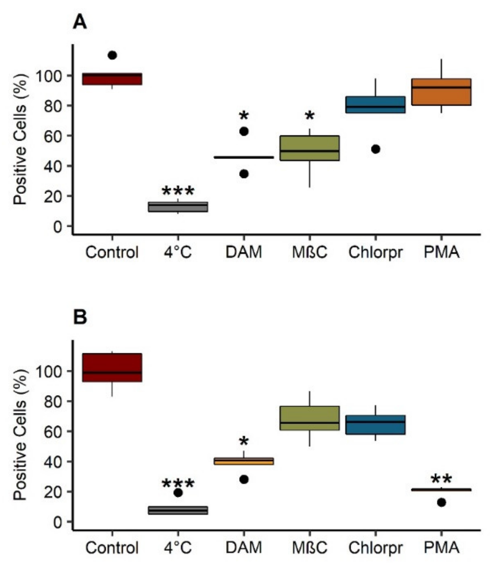 Cancers 13 02028 g007 Cancers 13 02028 g007
