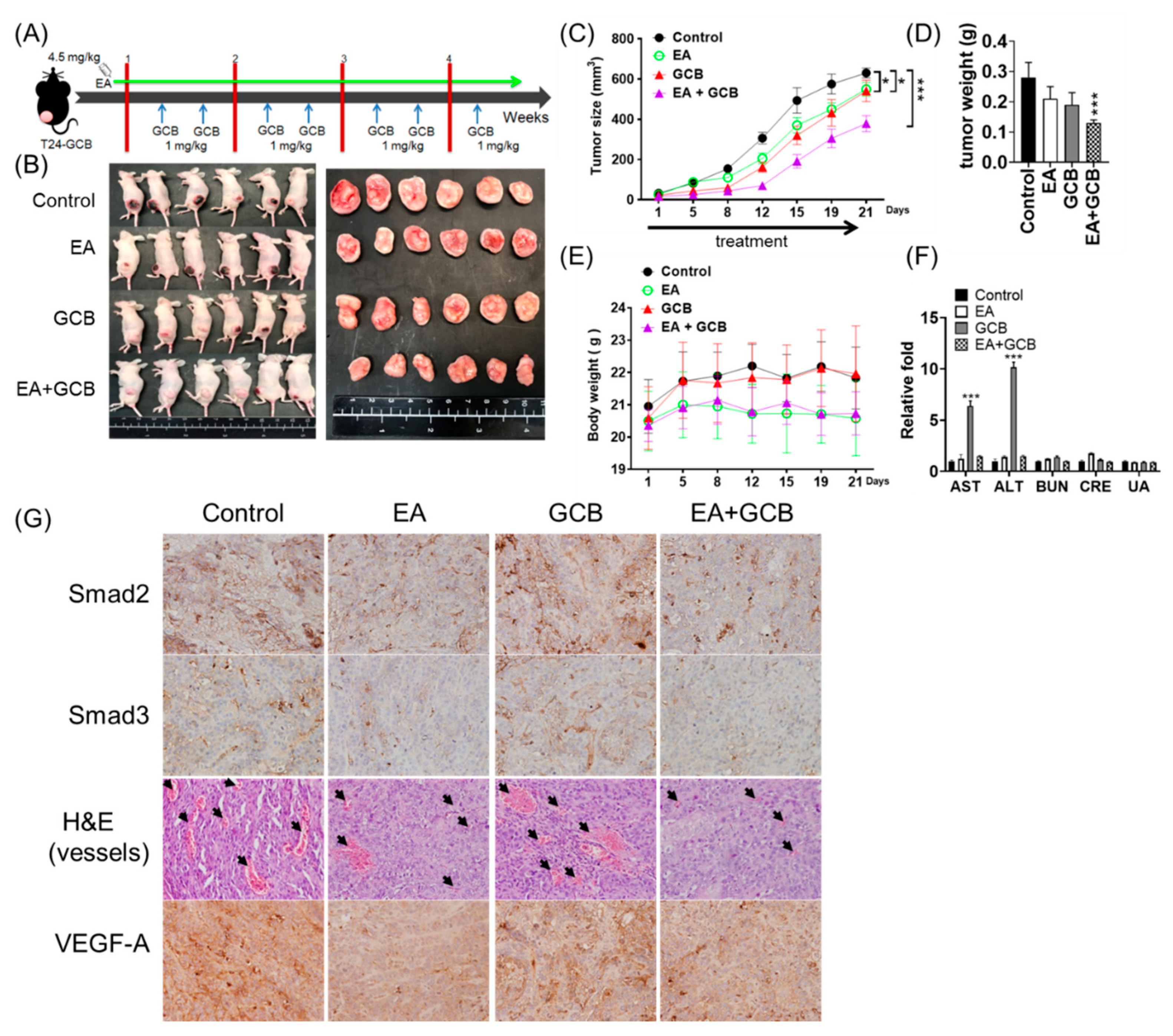 Cancers 13 02032 g005 Cancers 13 02032 g005