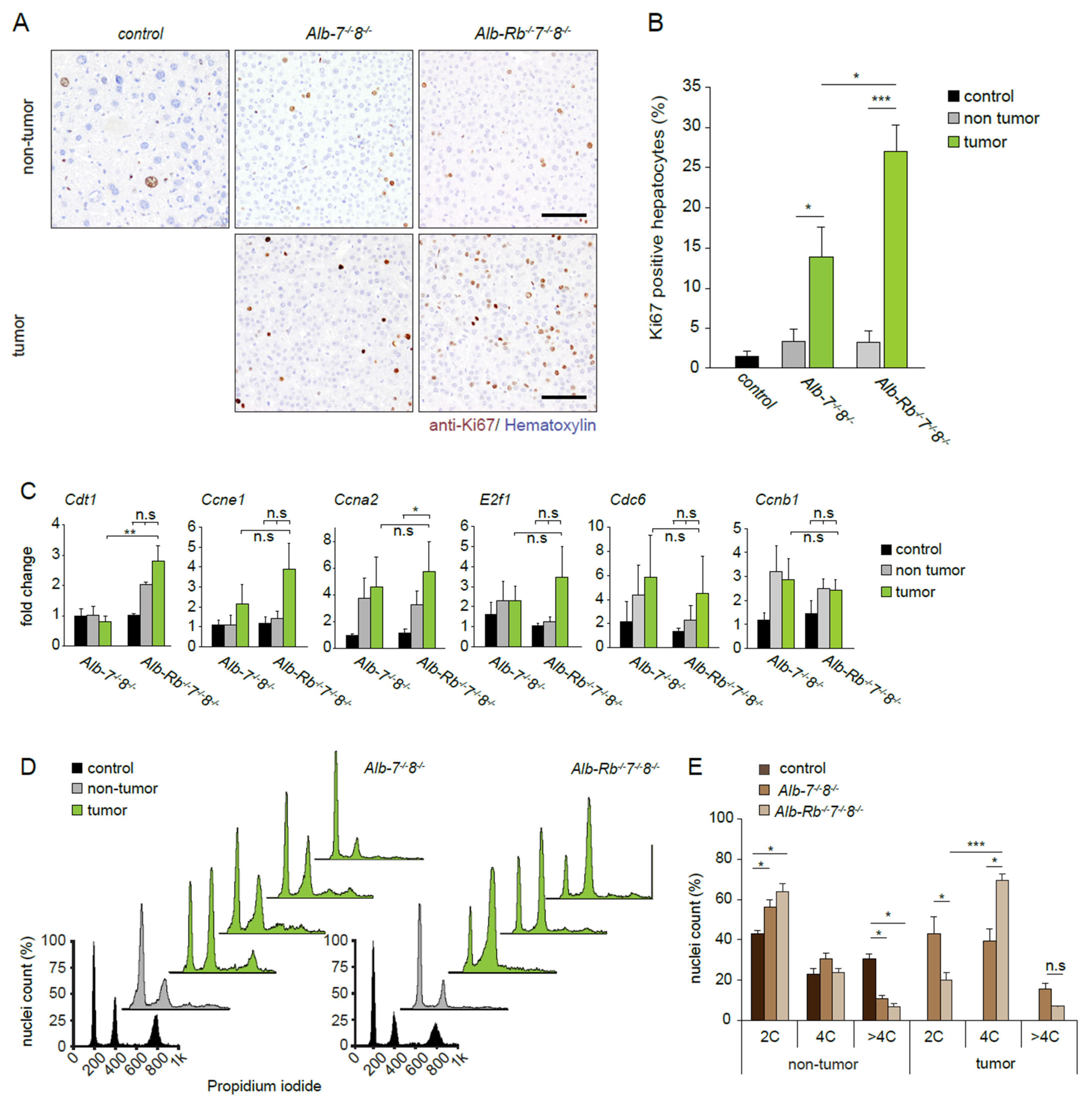 Cancers 13 02033 g002