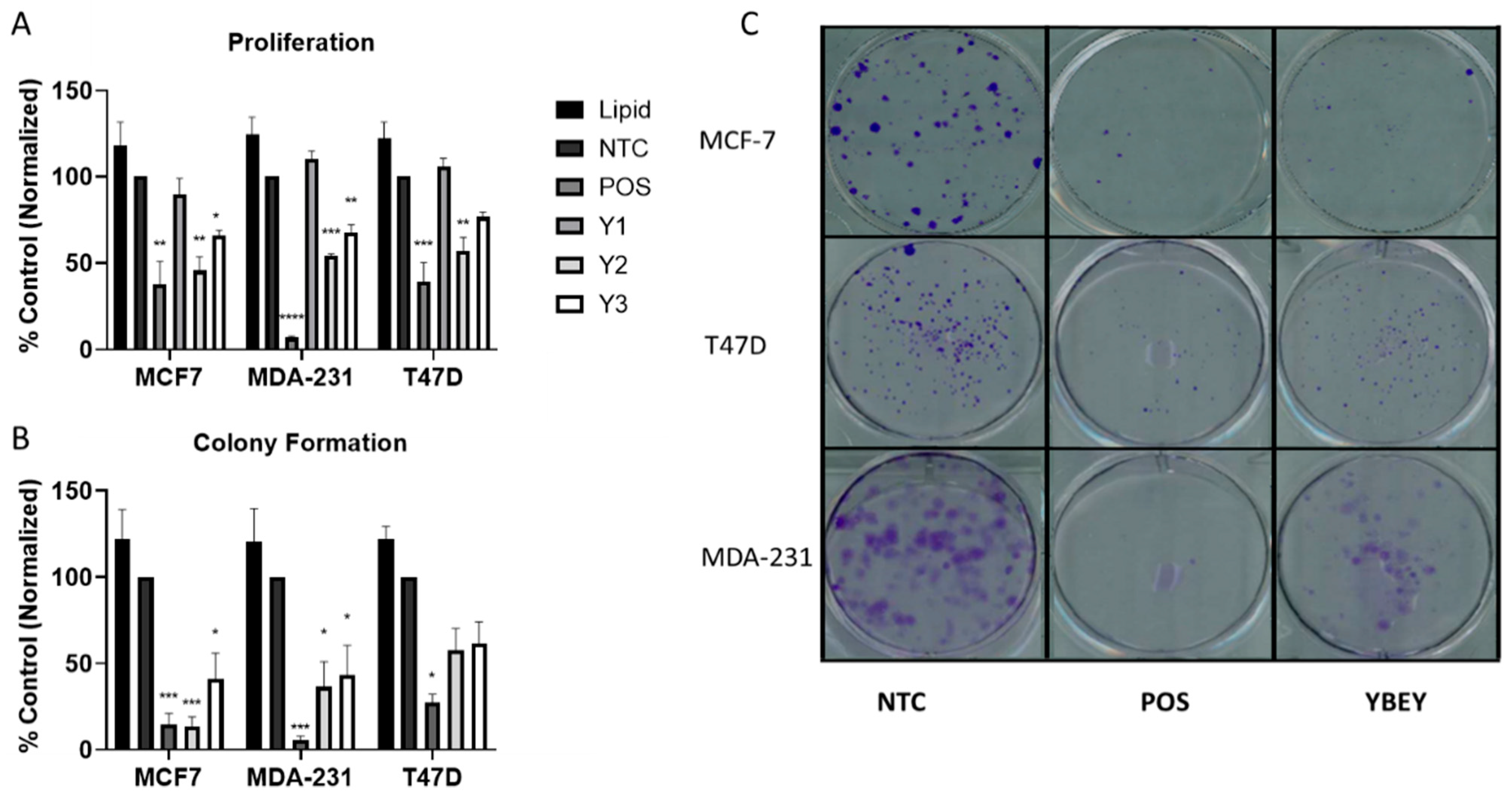 Cancers 13 02037 g002