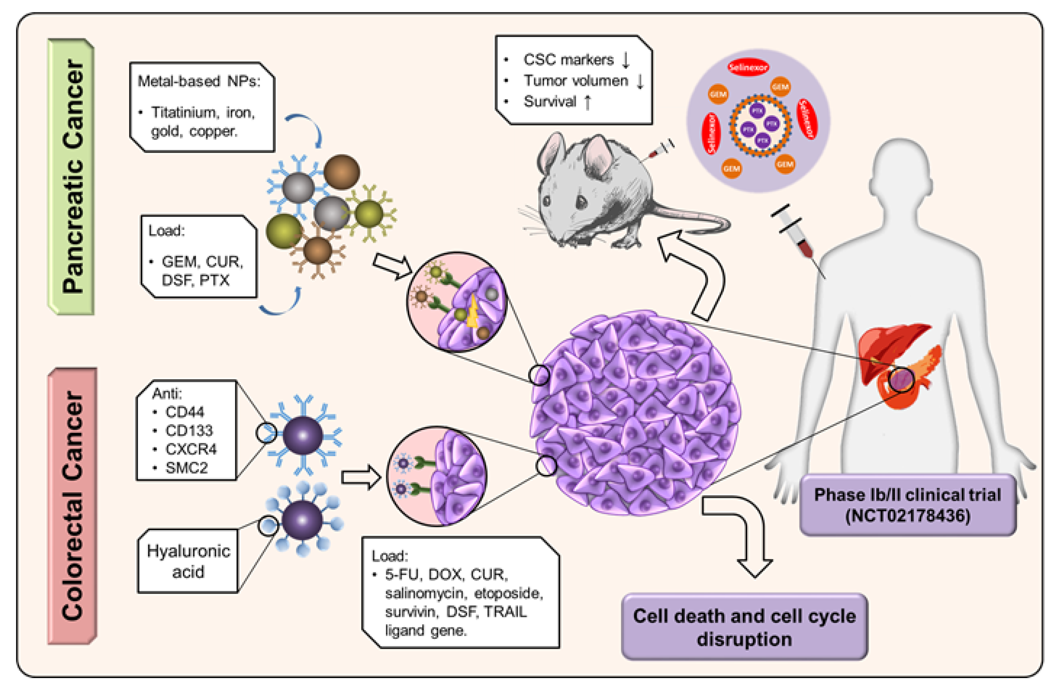 Cancers Free FullText Nanomedicine to Multidrug